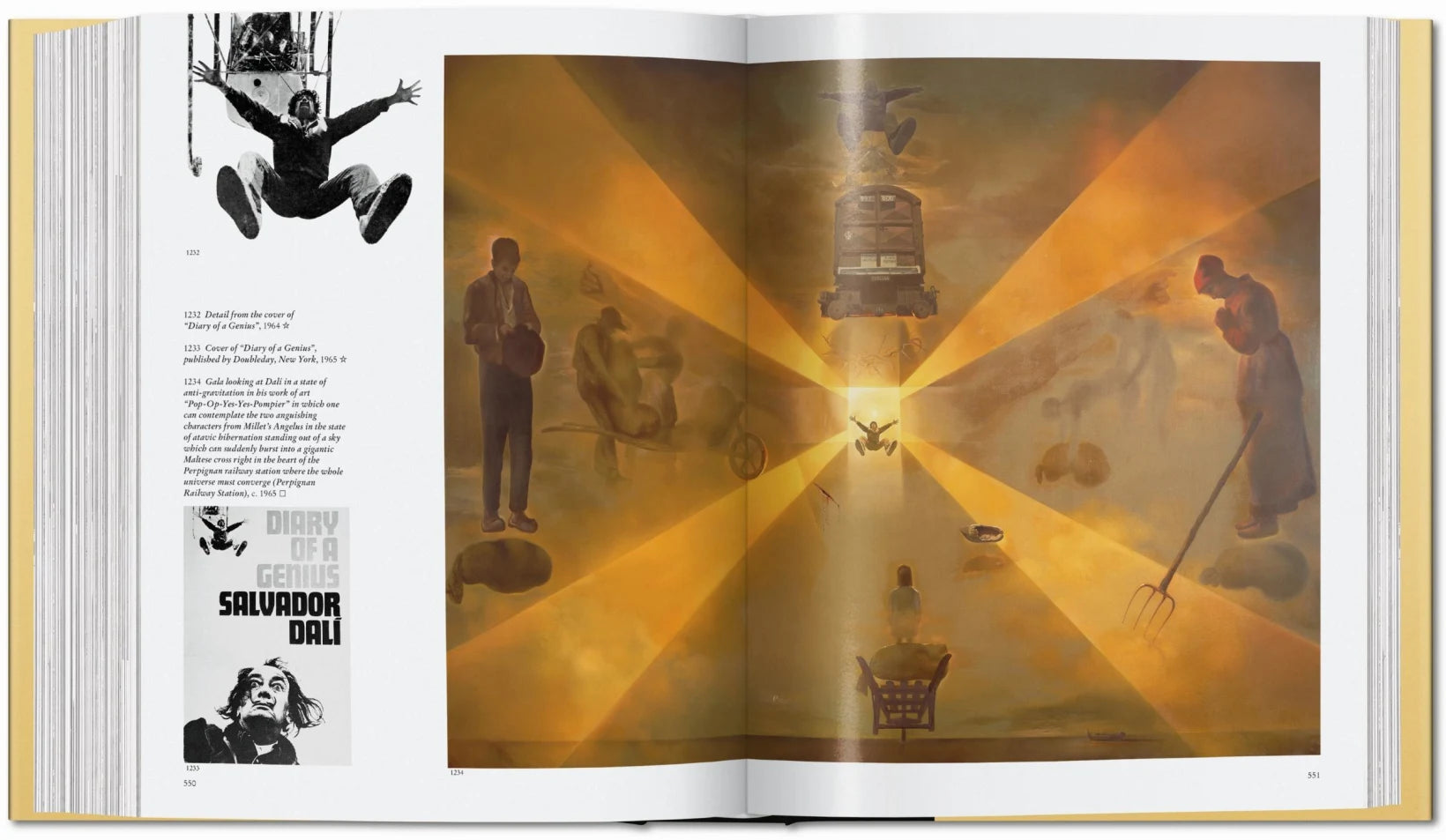 Dalí The Paintings Book