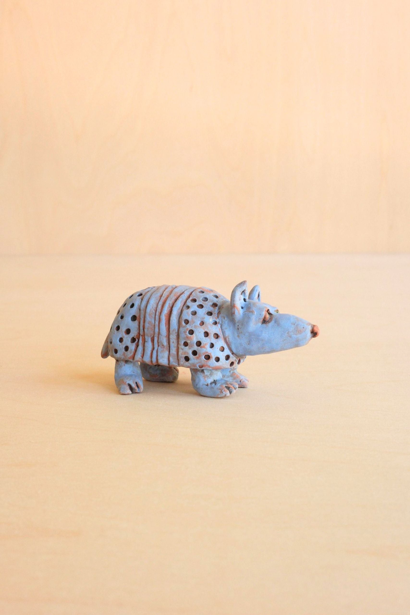 Andy Armadillo