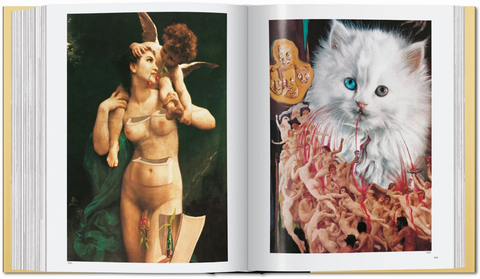 Dalí The Paintings Book