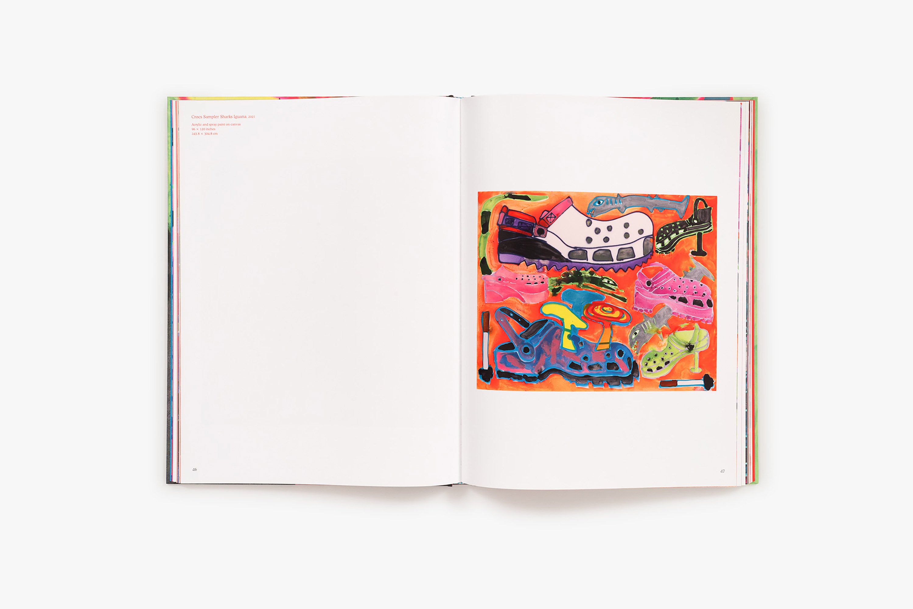 Katherine Bernhardt's Why is a mushroom growing in my shower? Book