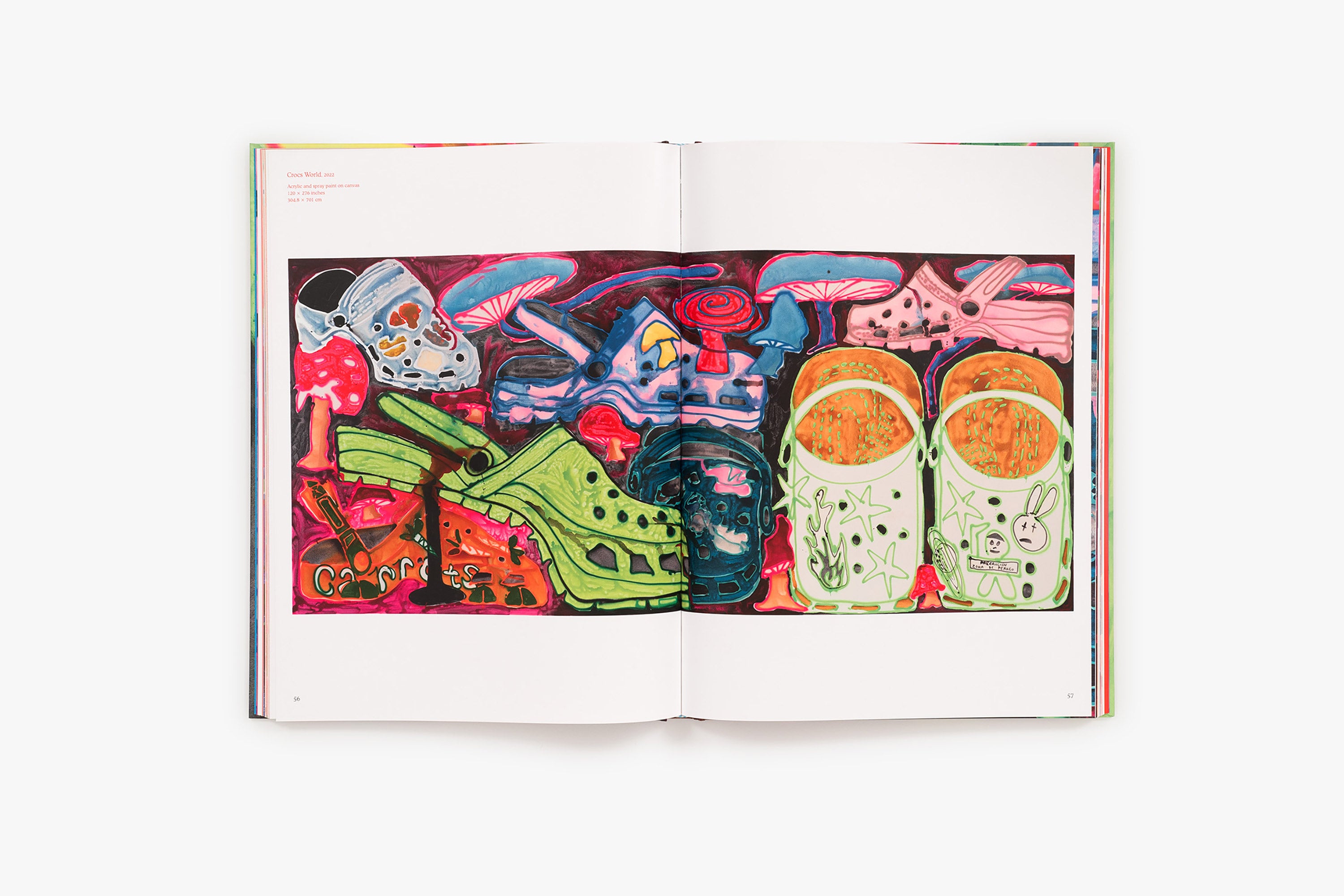Katherine Bernhardt's Why is a mushroom growing in my shower? Book