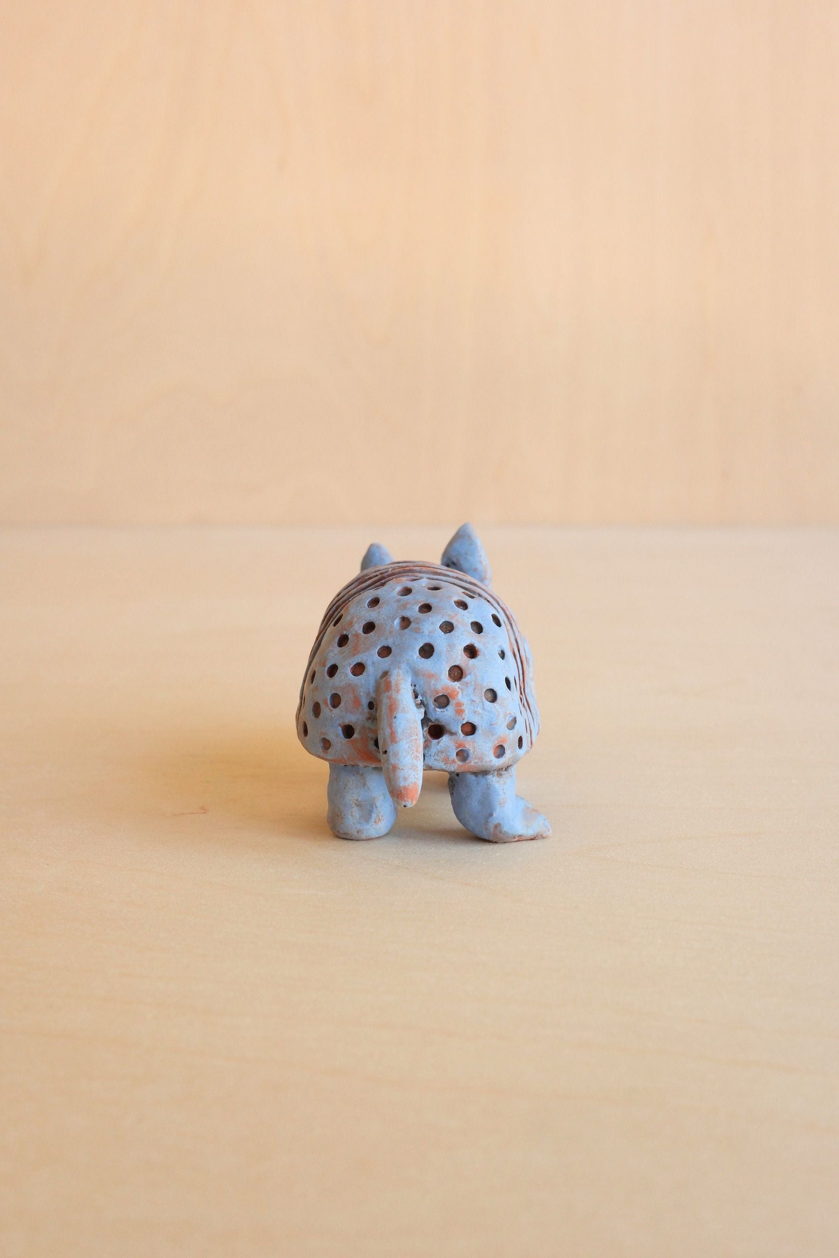 Andy Armadillo