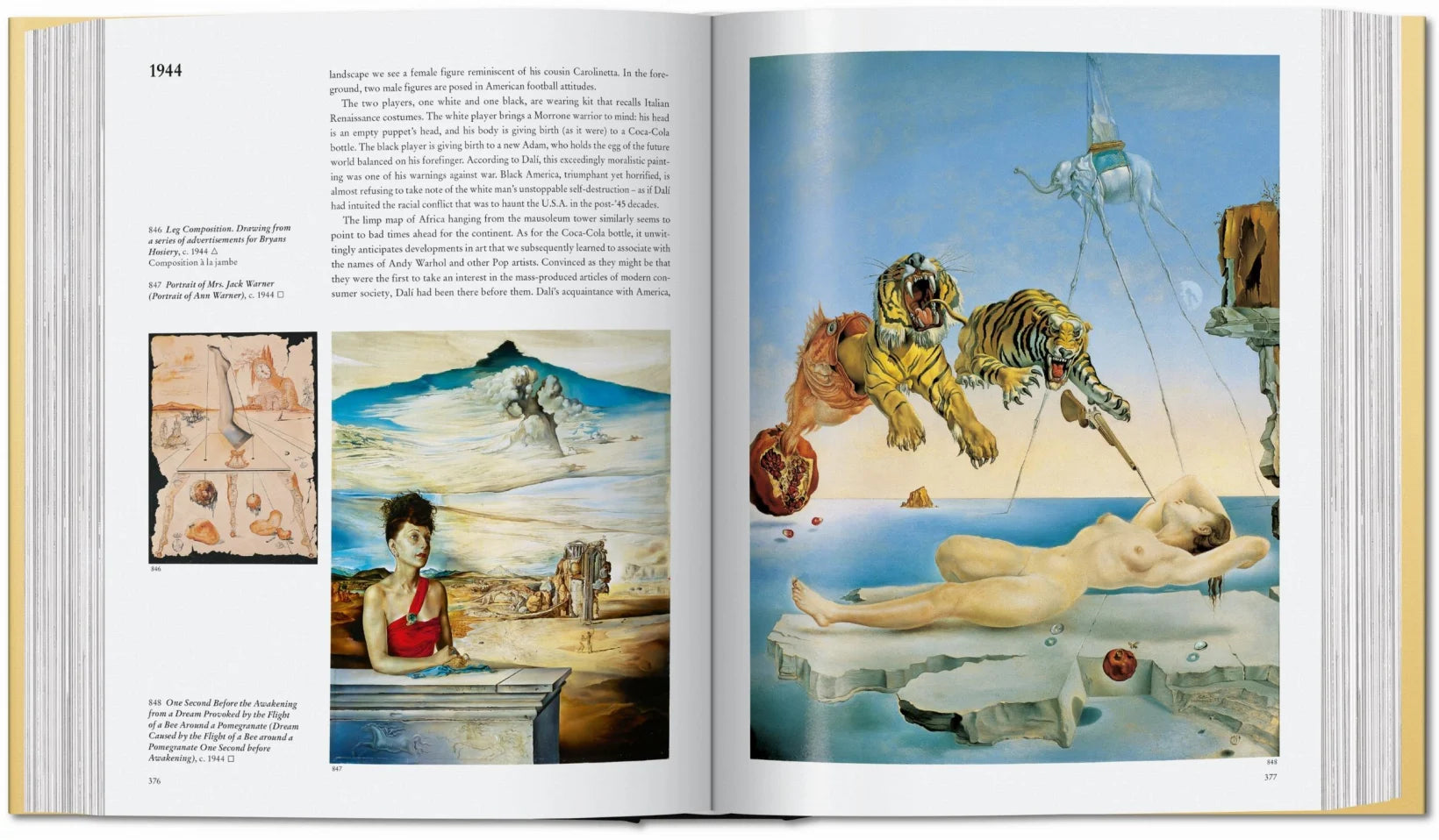 Dalí The Paintings Book