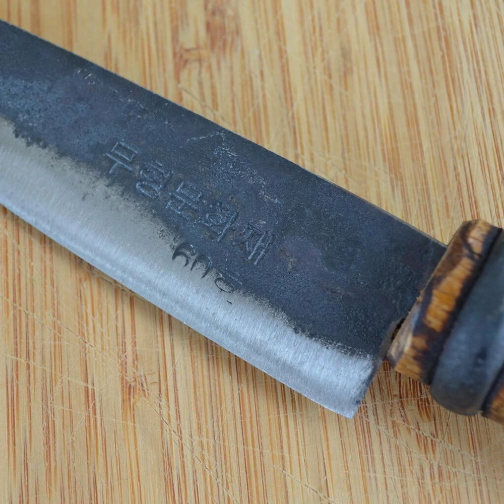 Master Shin's Sashimi Knife #61