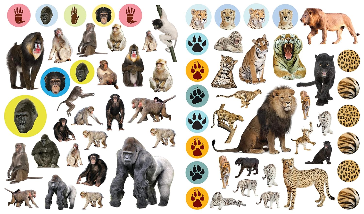 Eyelike Sticker Books // Wild Animals
