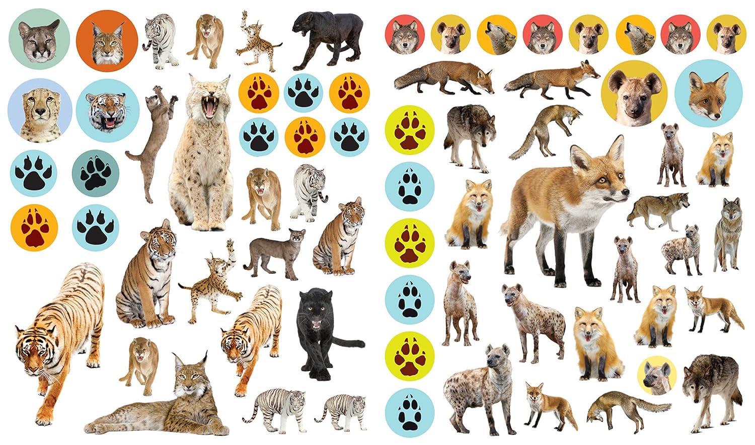 Eyelike Sticker Books // Wild Animals