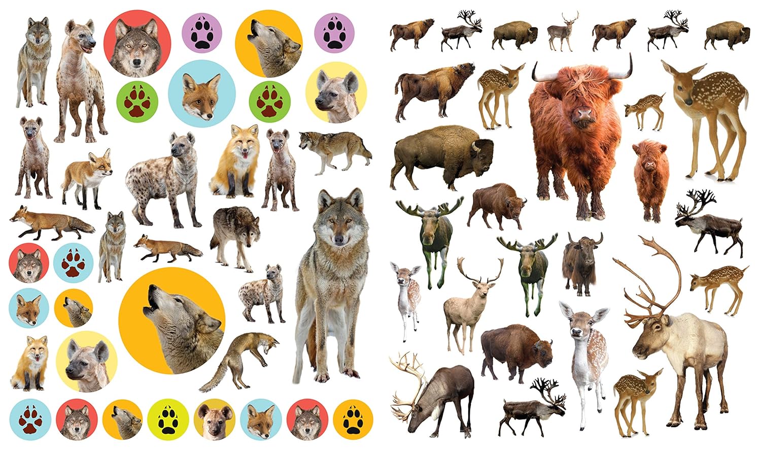 Eyelike Sticker Books // Wild Animals