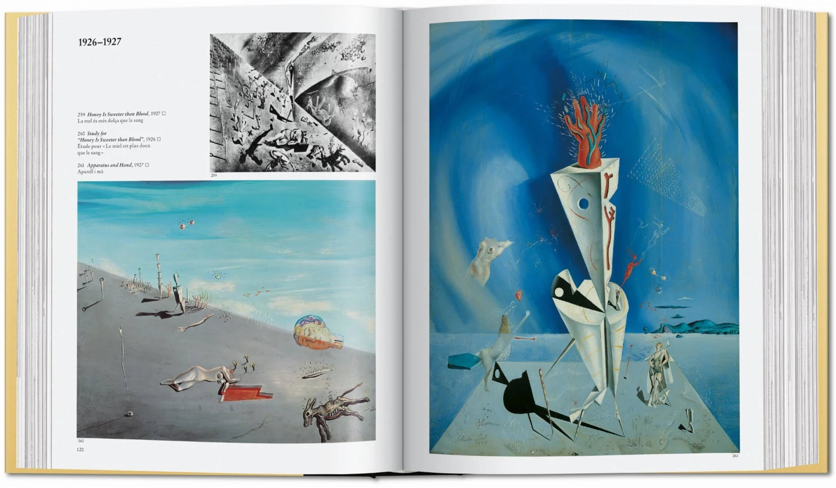 Dalí The Paintings Book