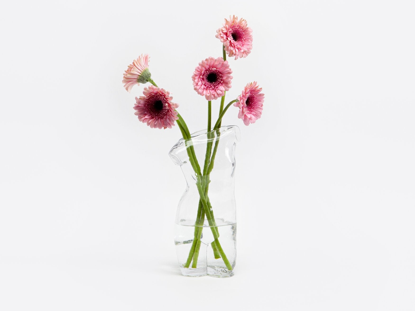Glass Body Vase