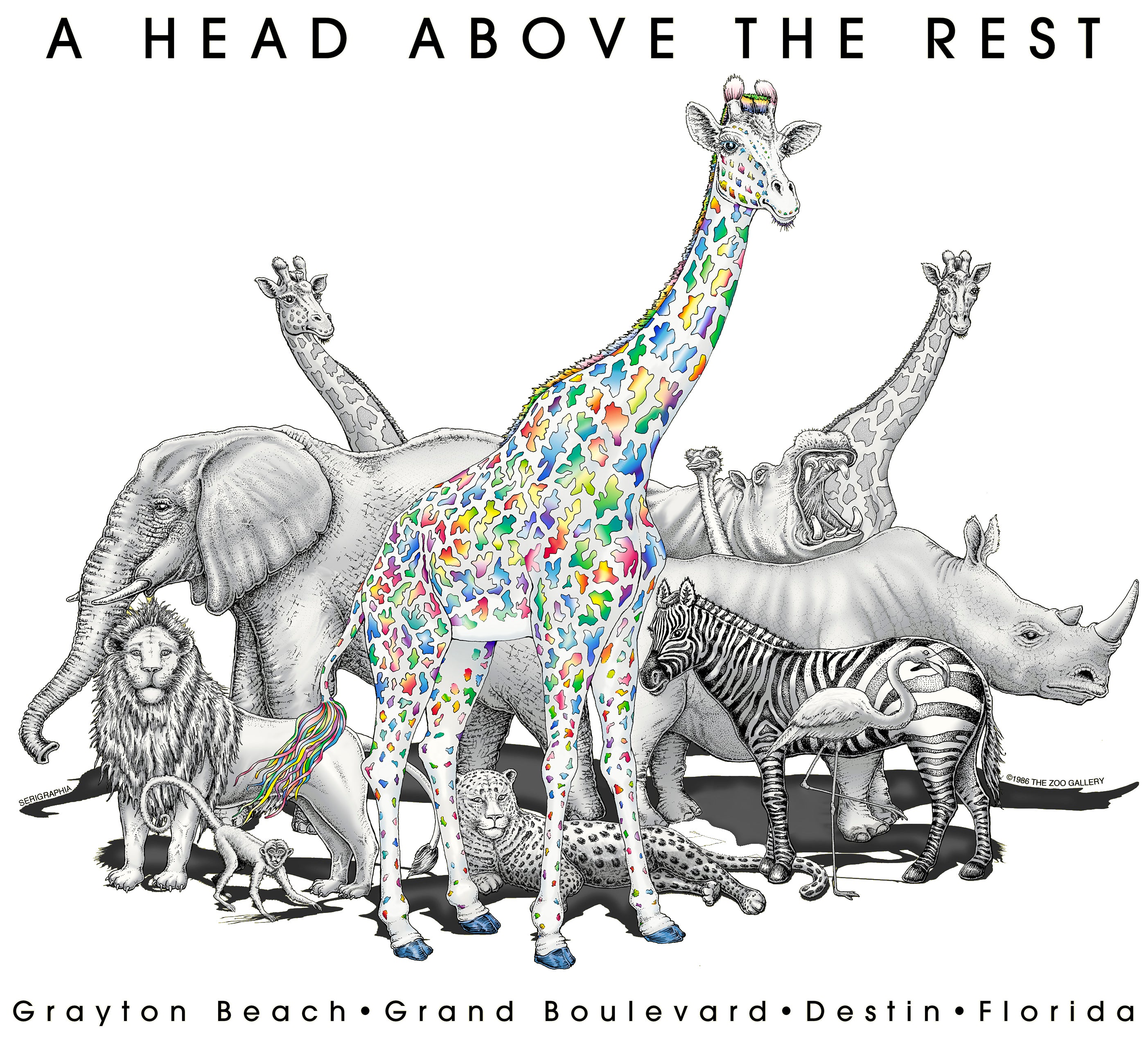 Head Above The Rest