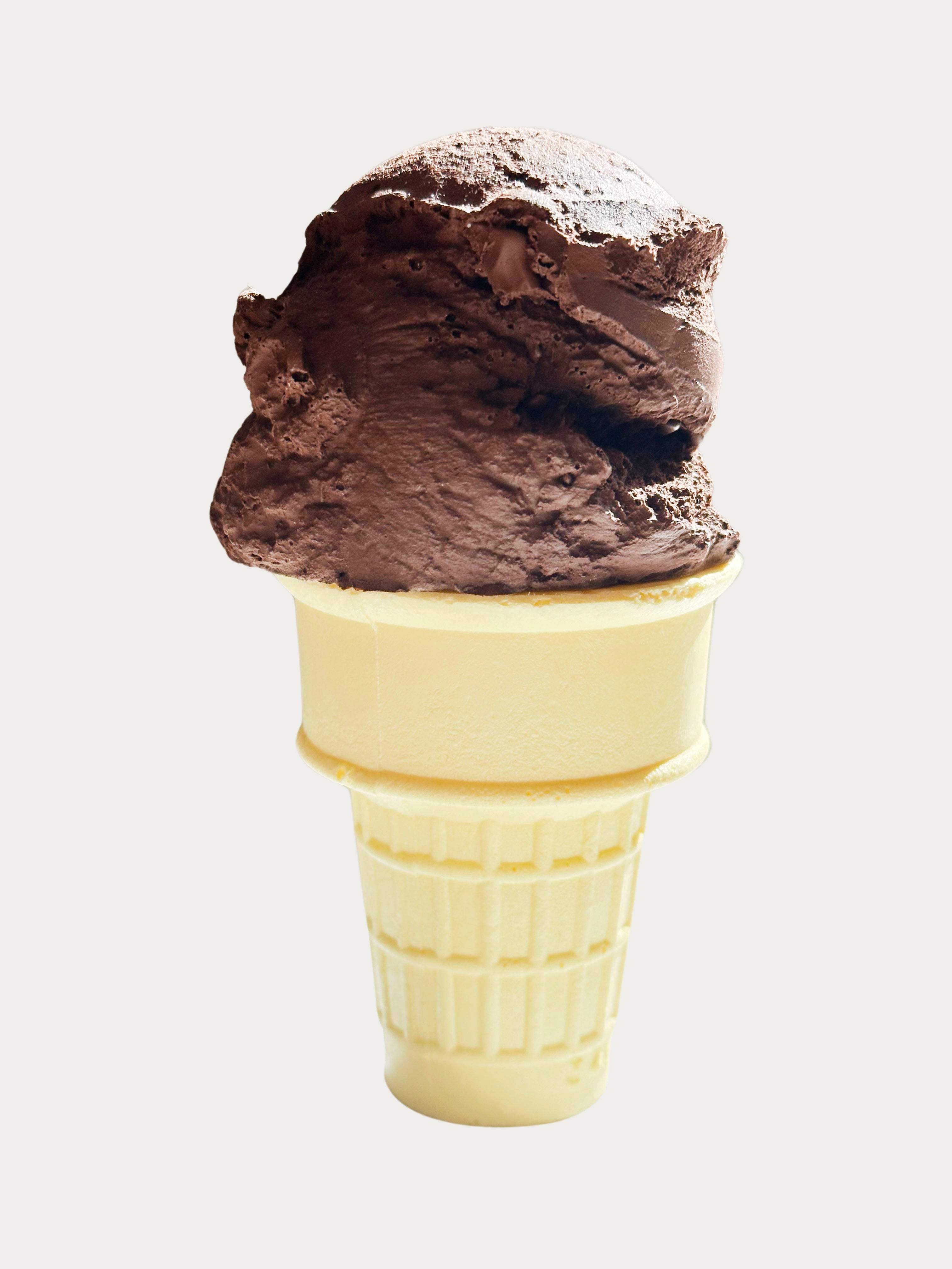 Single Scoop Chocolate