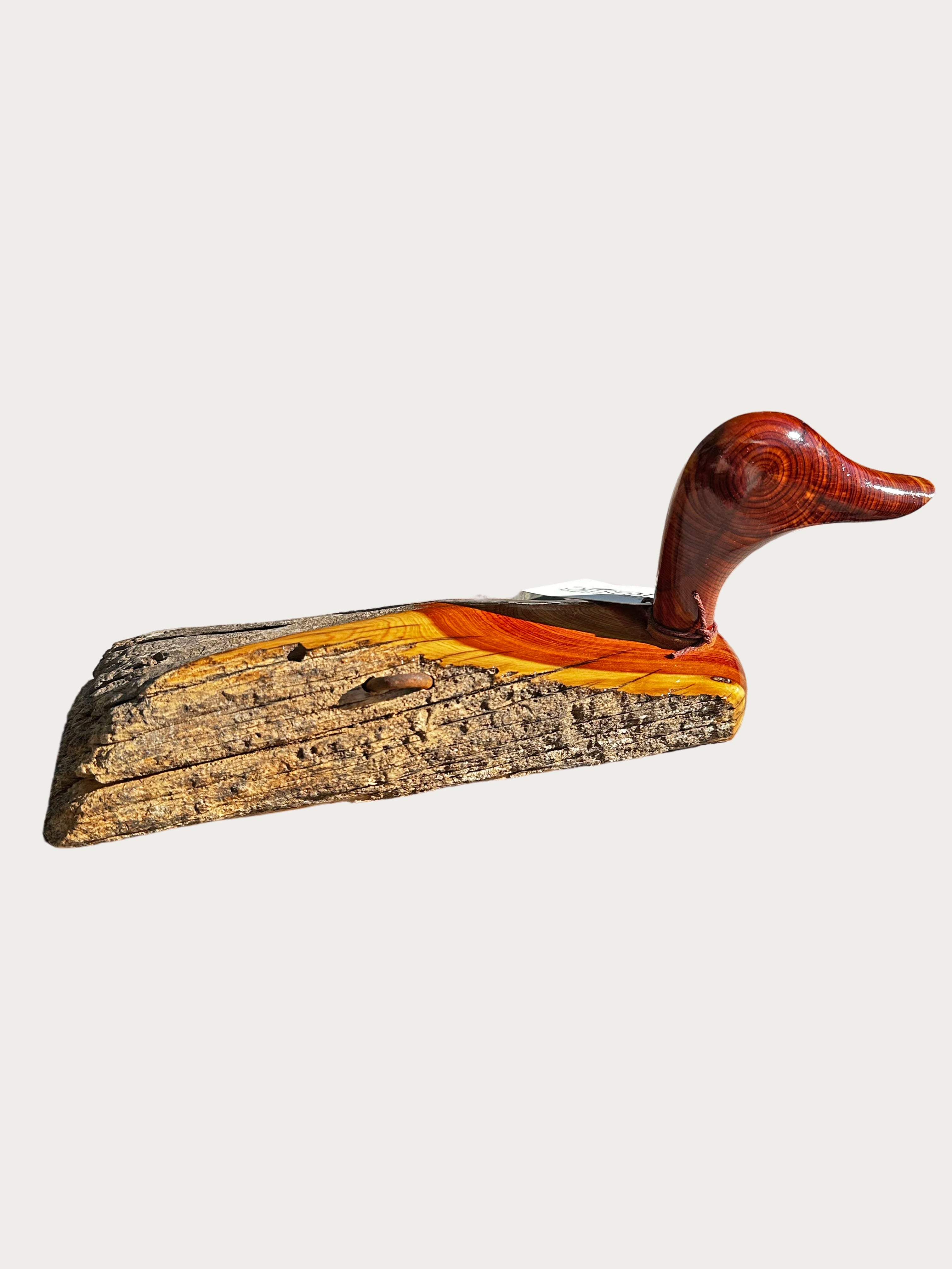 Small Cedar Duck