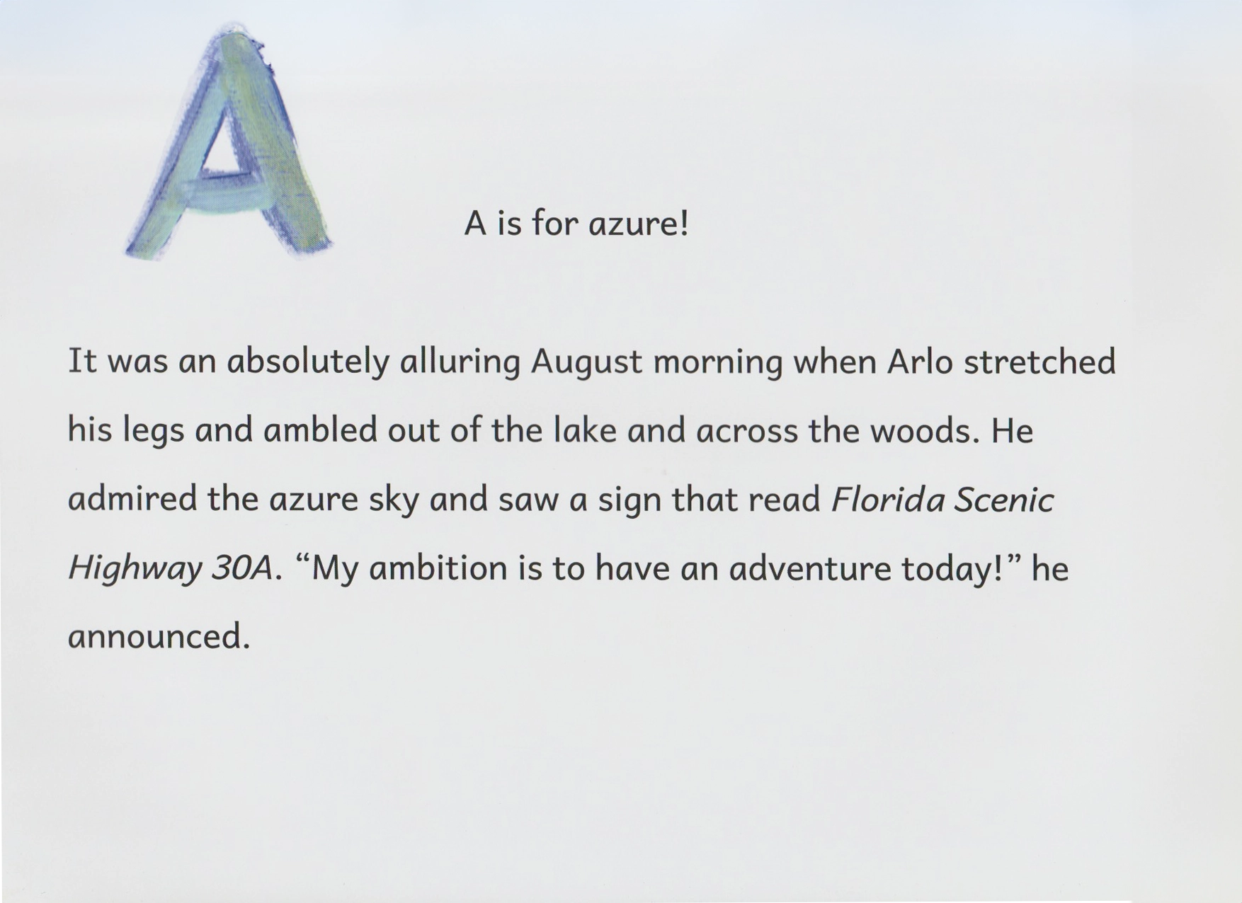 Arlo's Day on 30A by Sarah Stewart