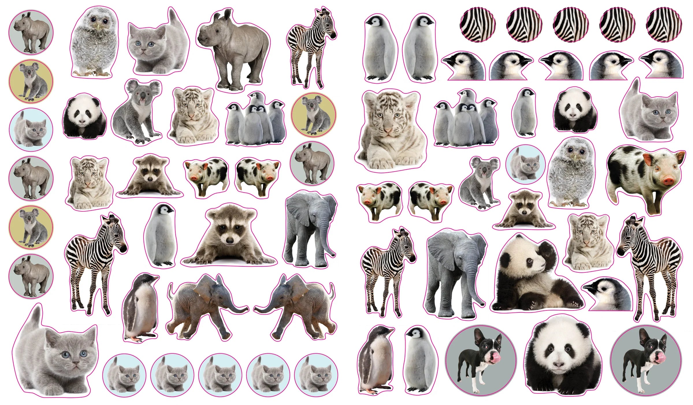 Eye Like Sticker Book // Baby Animals