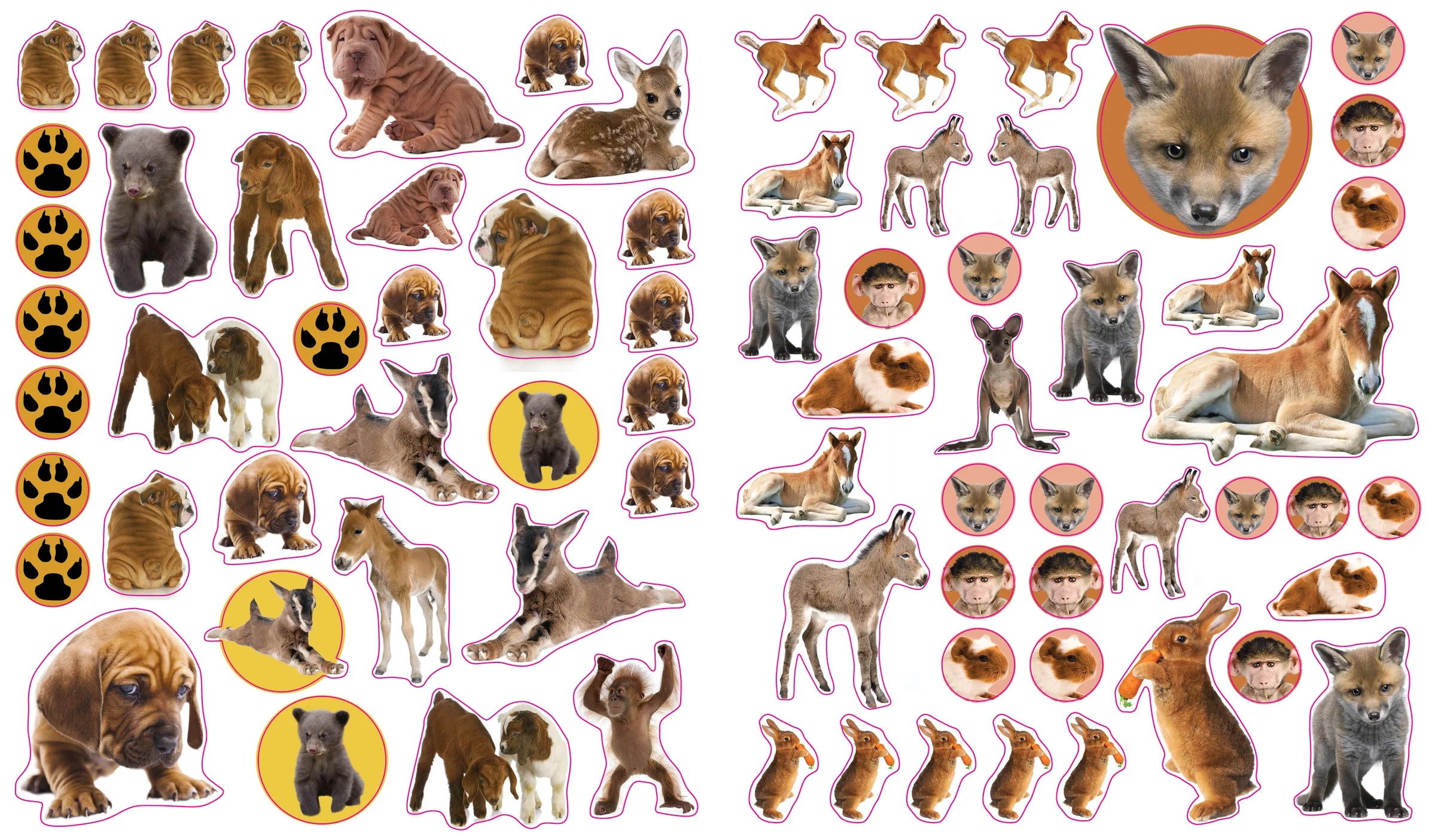 Eye Like Sticker Book // Baby Animals