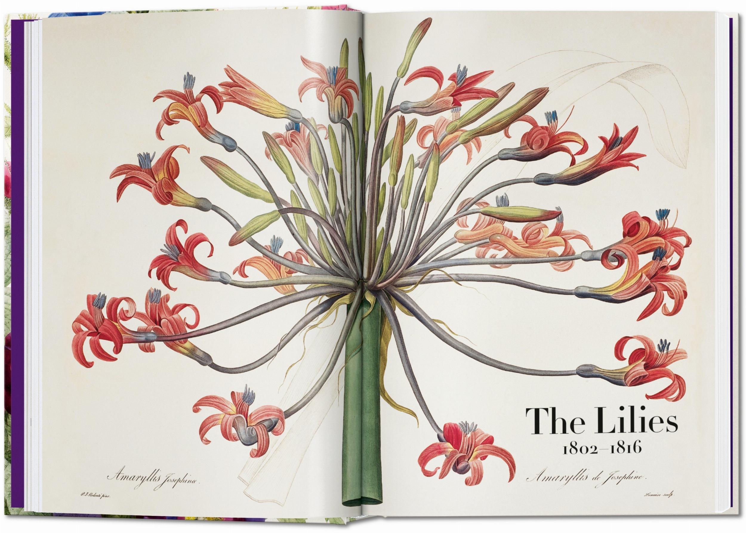 Redouté The Book of Flowers 40th Edition