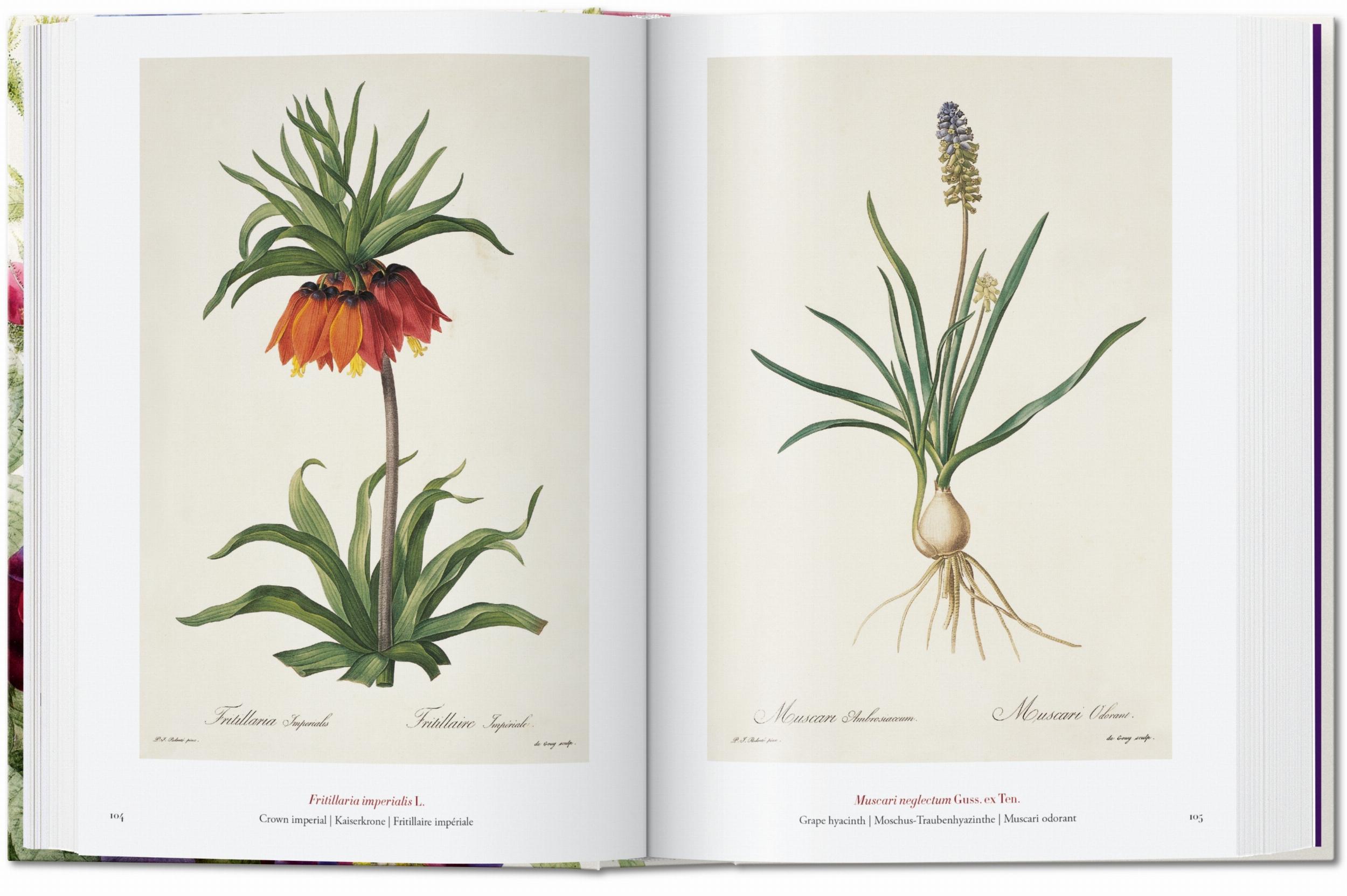 Redouté The Book of Flowers 40th Edition