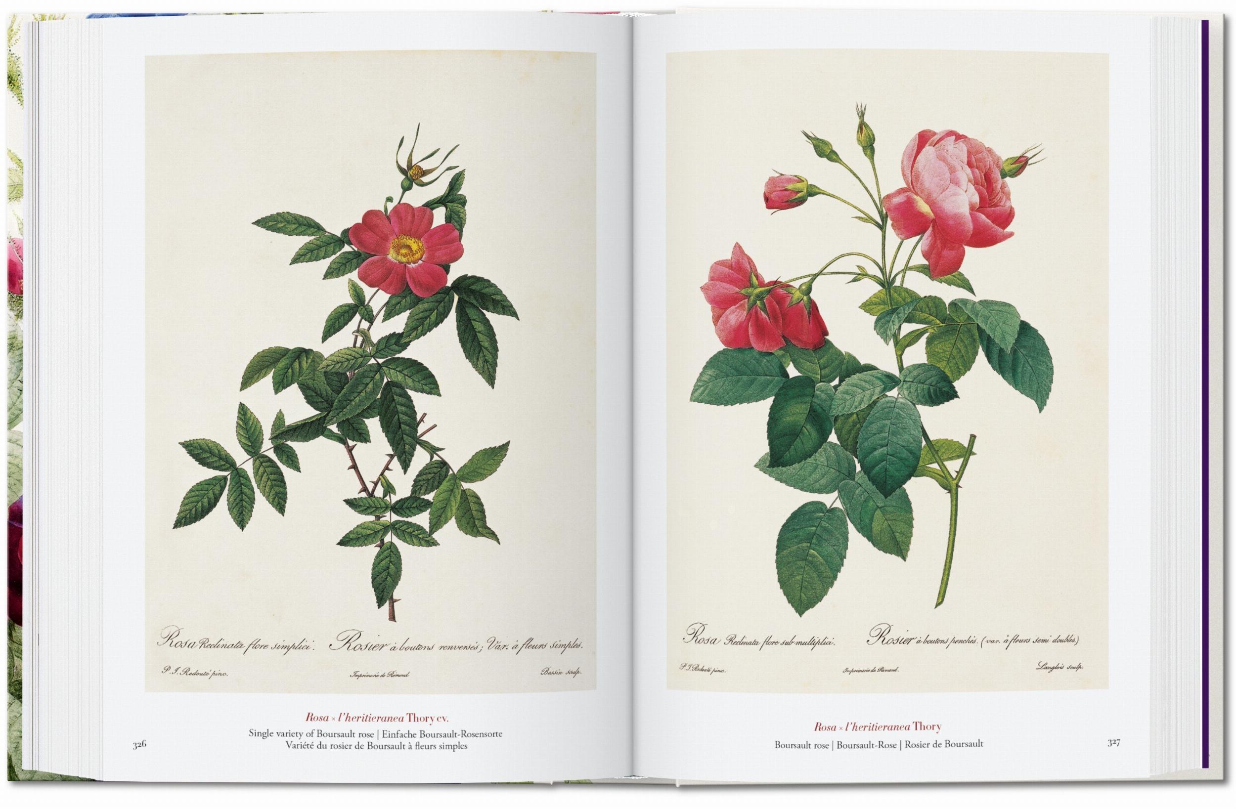 Redouté The Book of Flowers 40th Edition