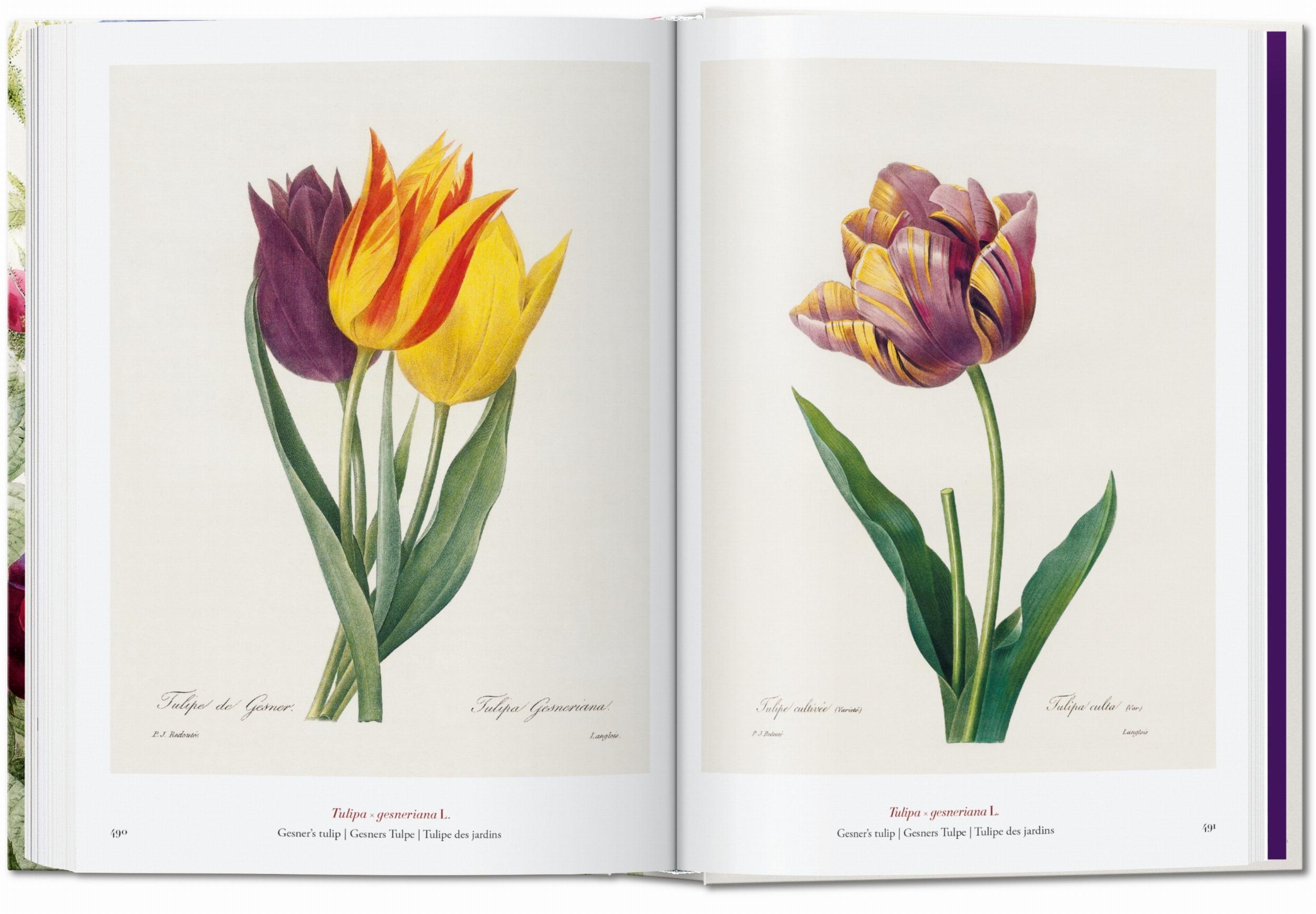 Redouté The Book of Flowers 40th Edition