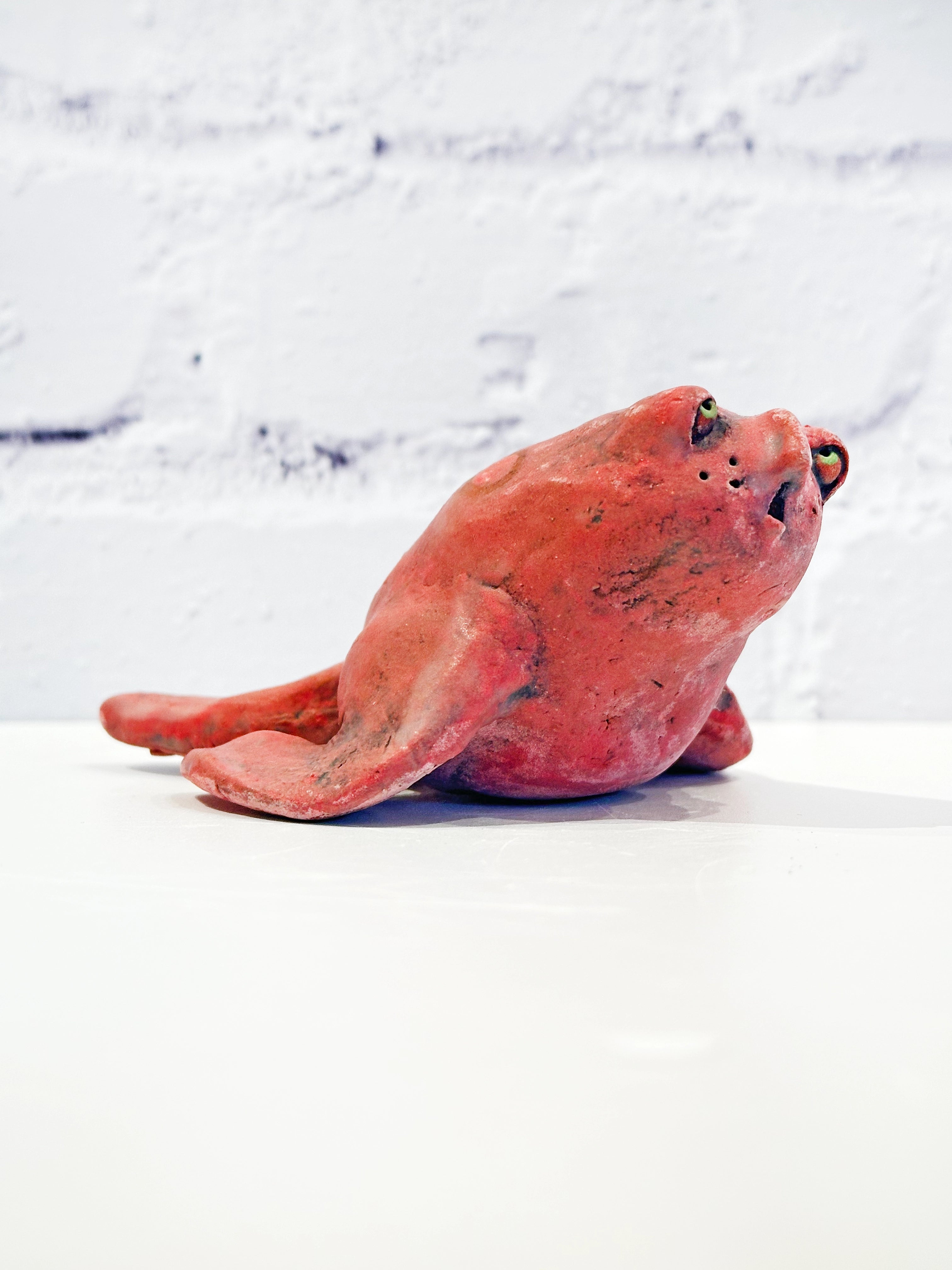 Tiny Seal