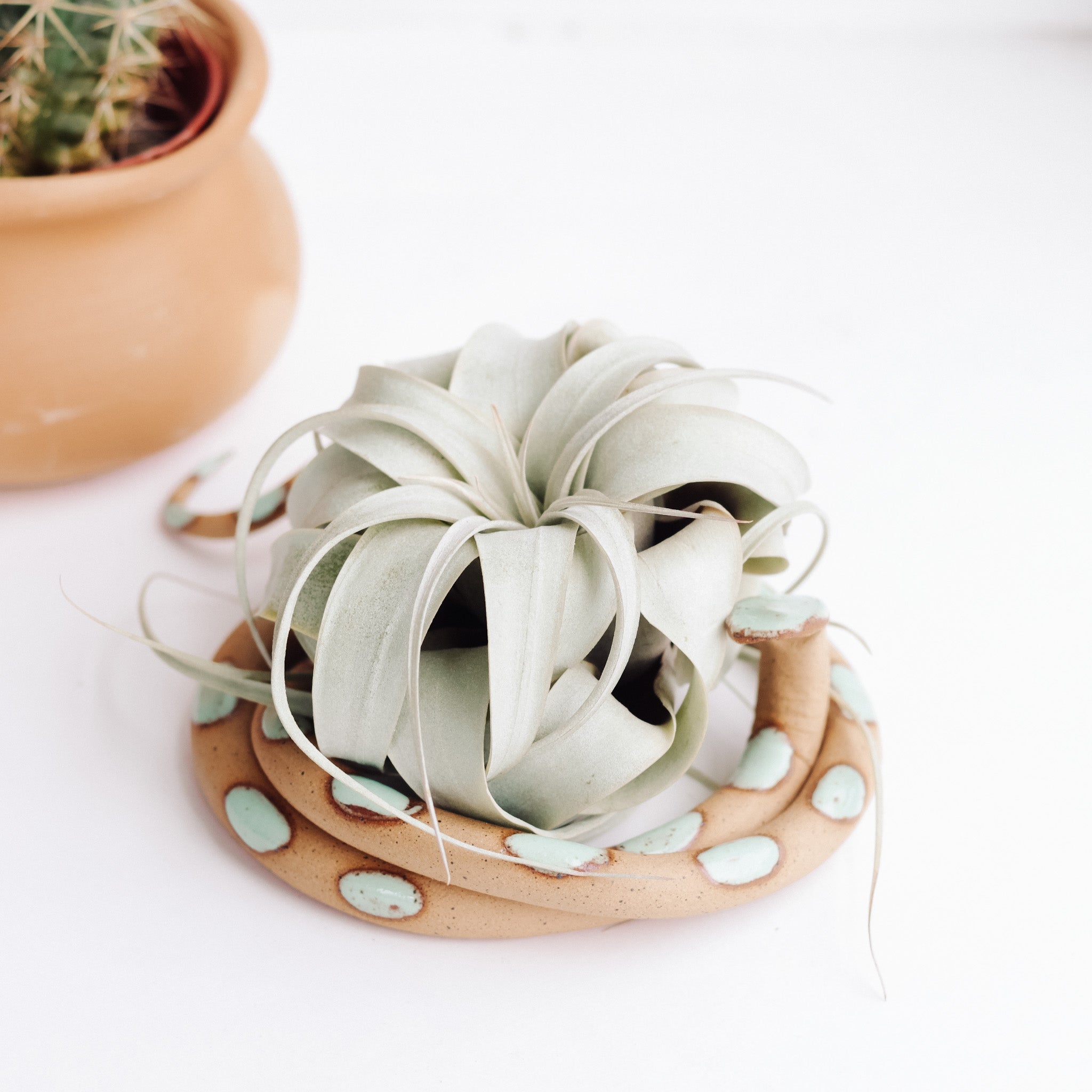 Large Ceramic Snake