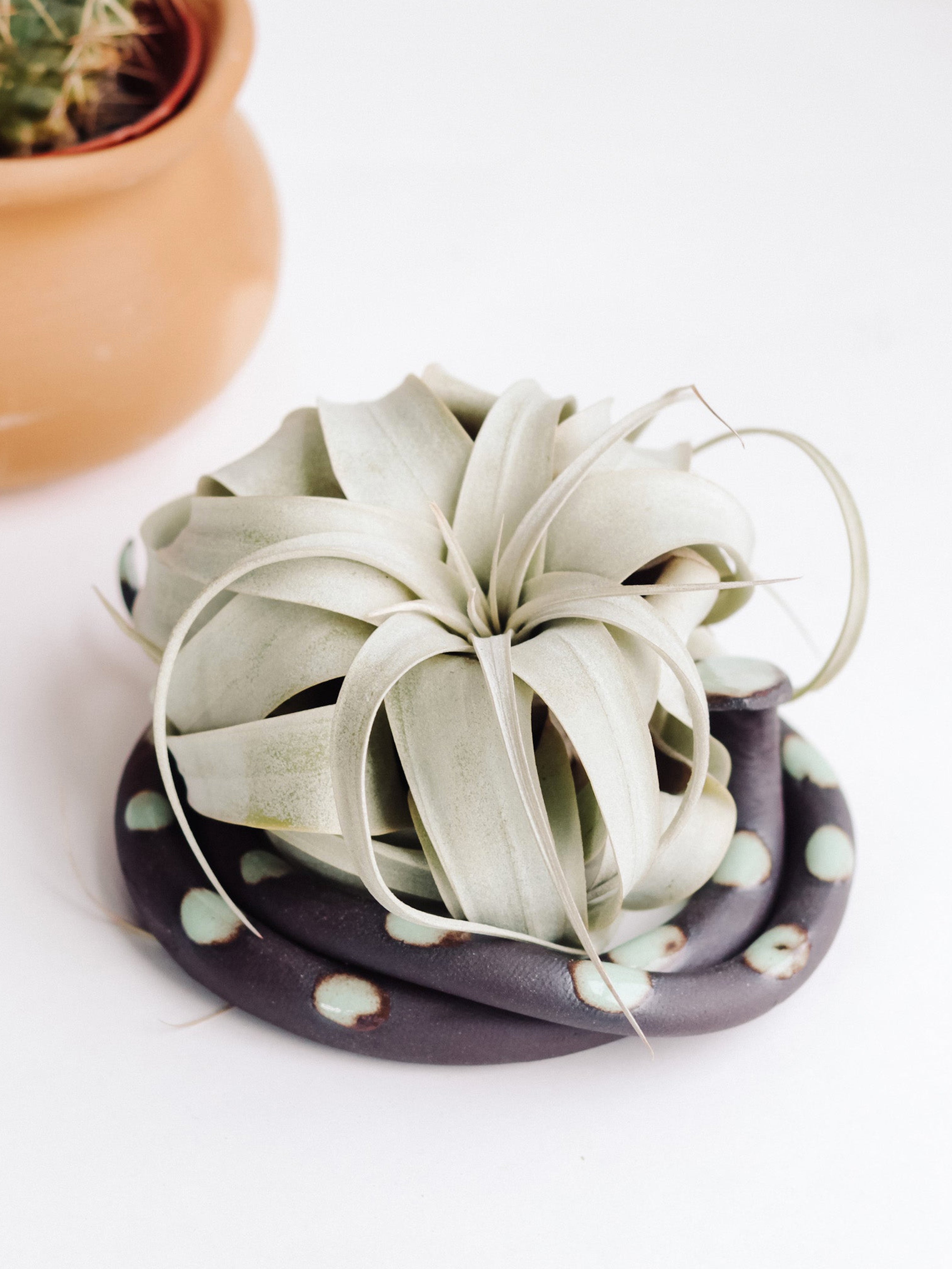 Large Ceramic Snake