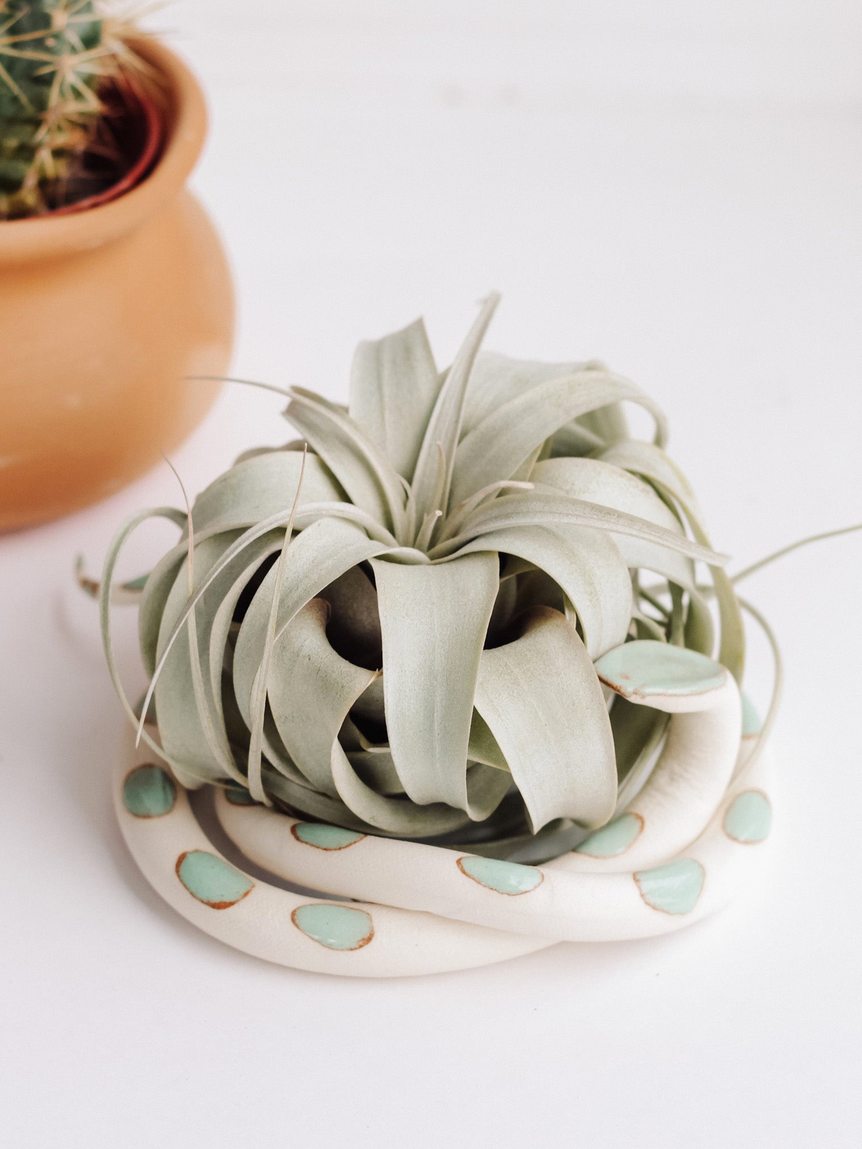 Large Ceramic Snake