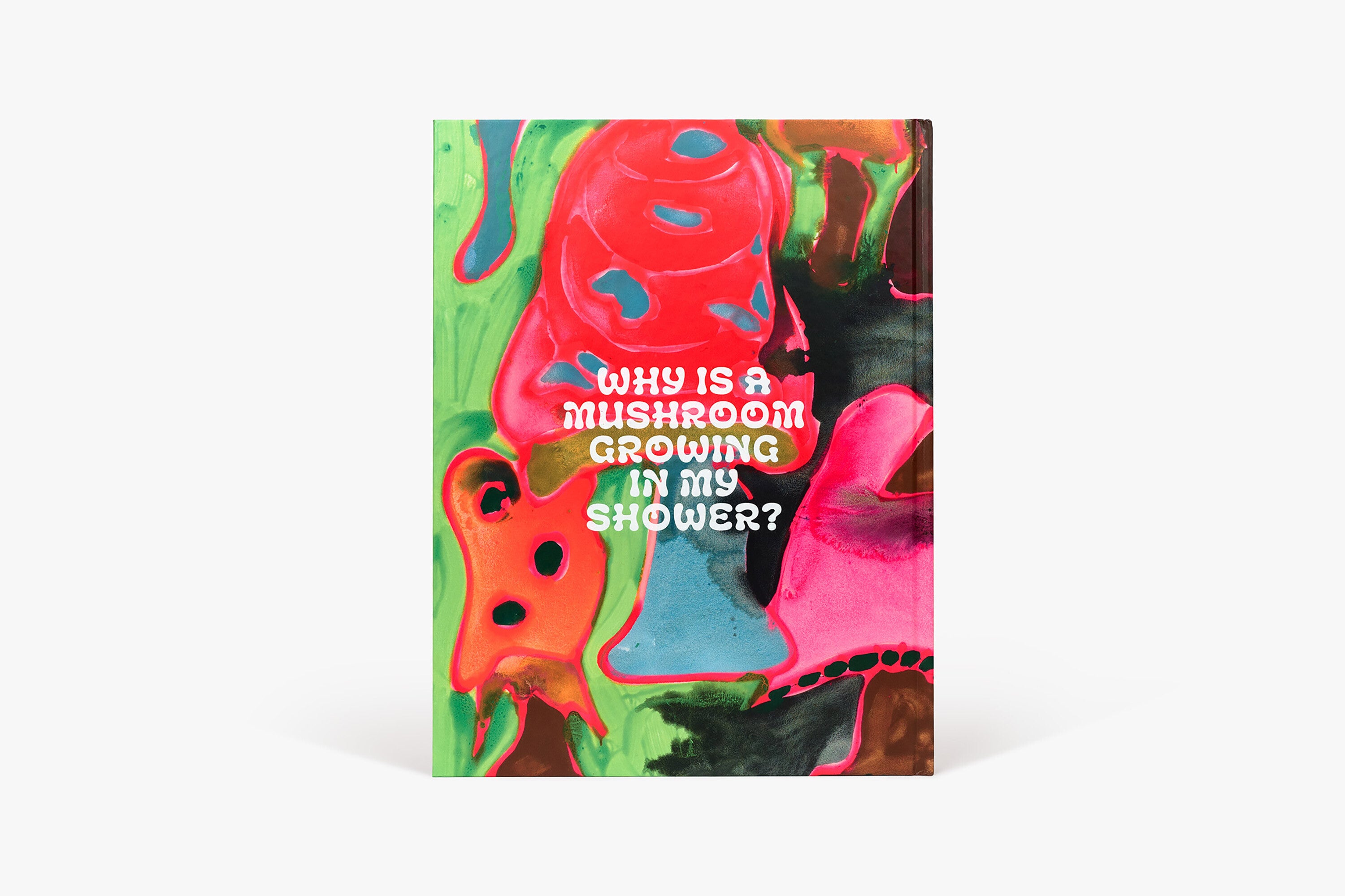 Katherine Bernhardt's Why is a mushroom growing in my shower? Book