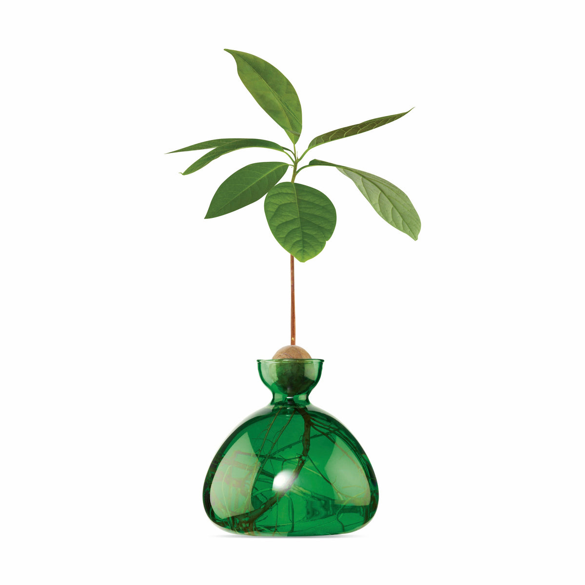 Avocado Vase // Emerald Green