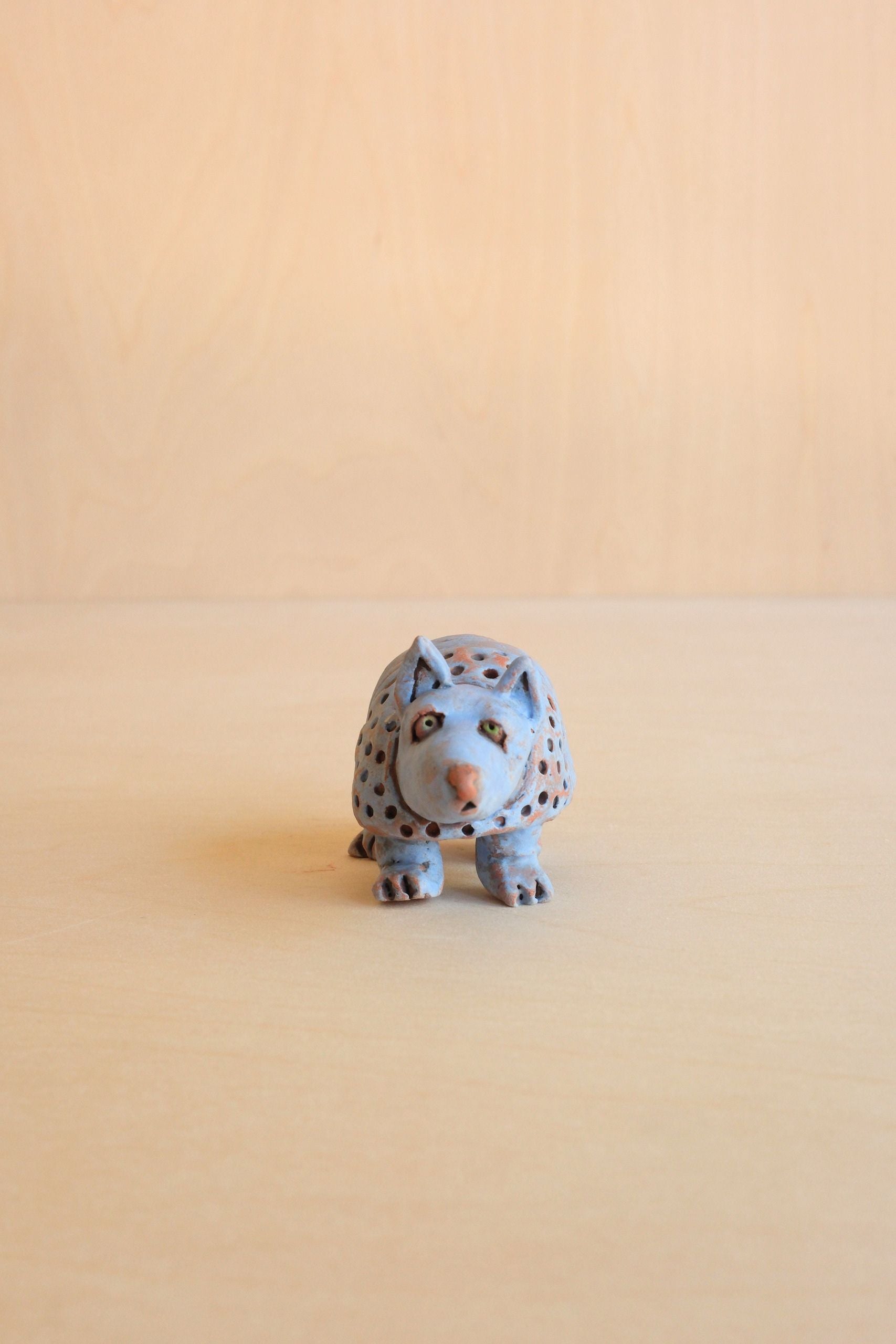 Andy Armadillo