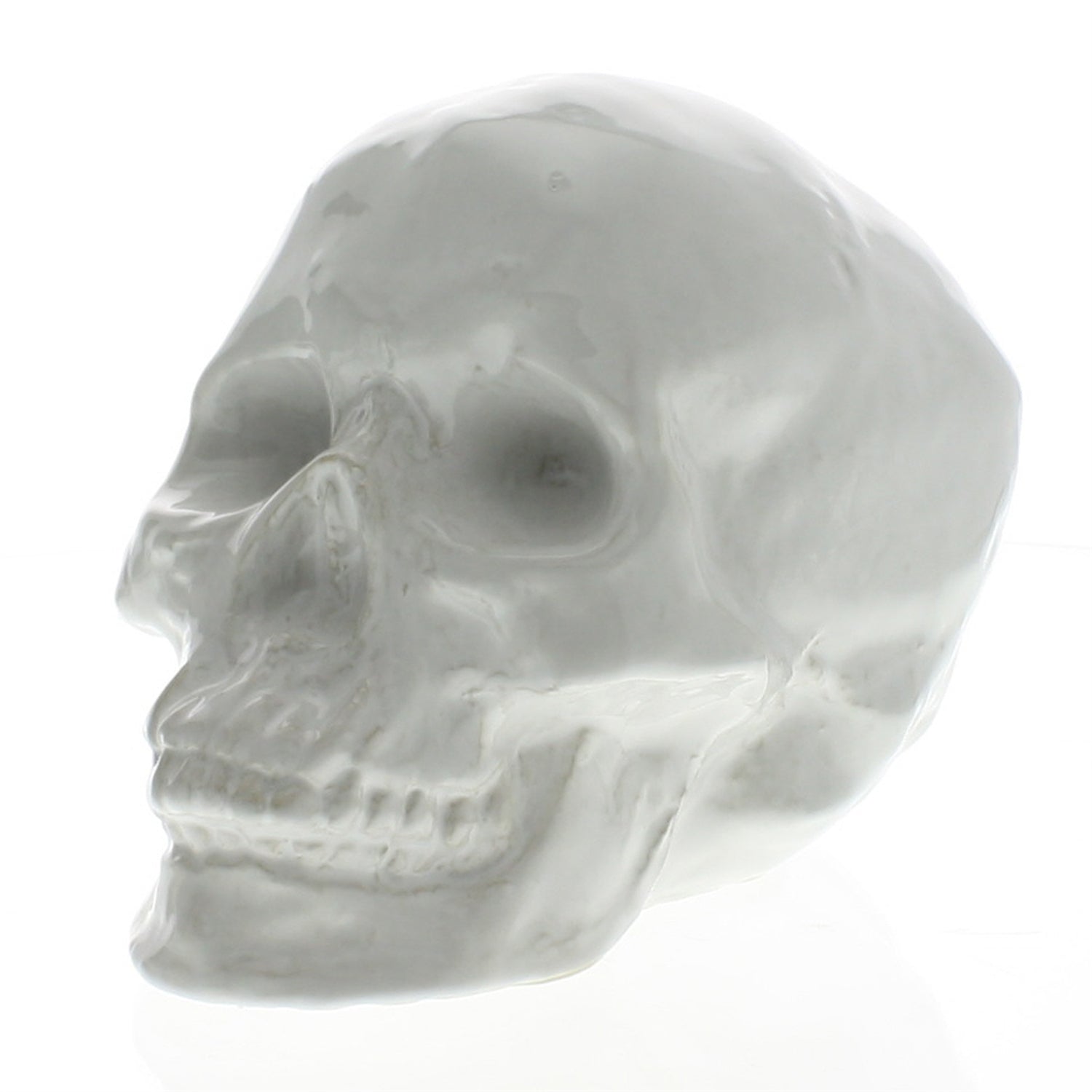 White Ceramic Skull