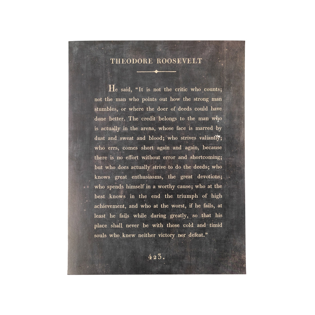 Book Collection Art Poster // Theodore Roosevelt