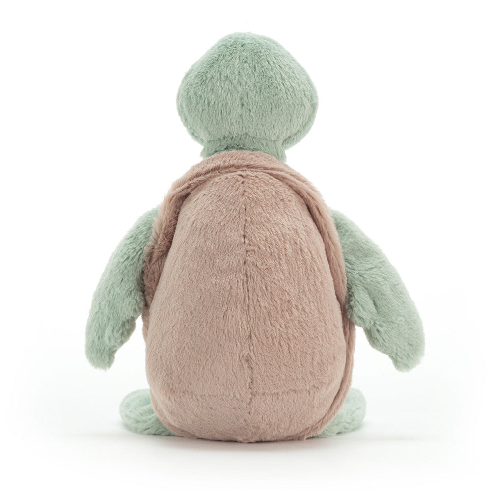 Bashful Turtle Small