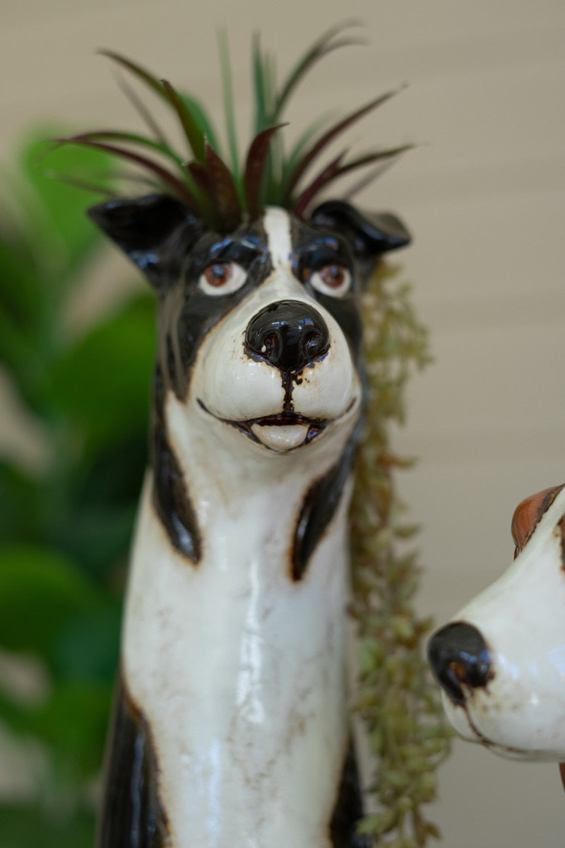 Ceramic Black & Brown Spotted Dog Planters