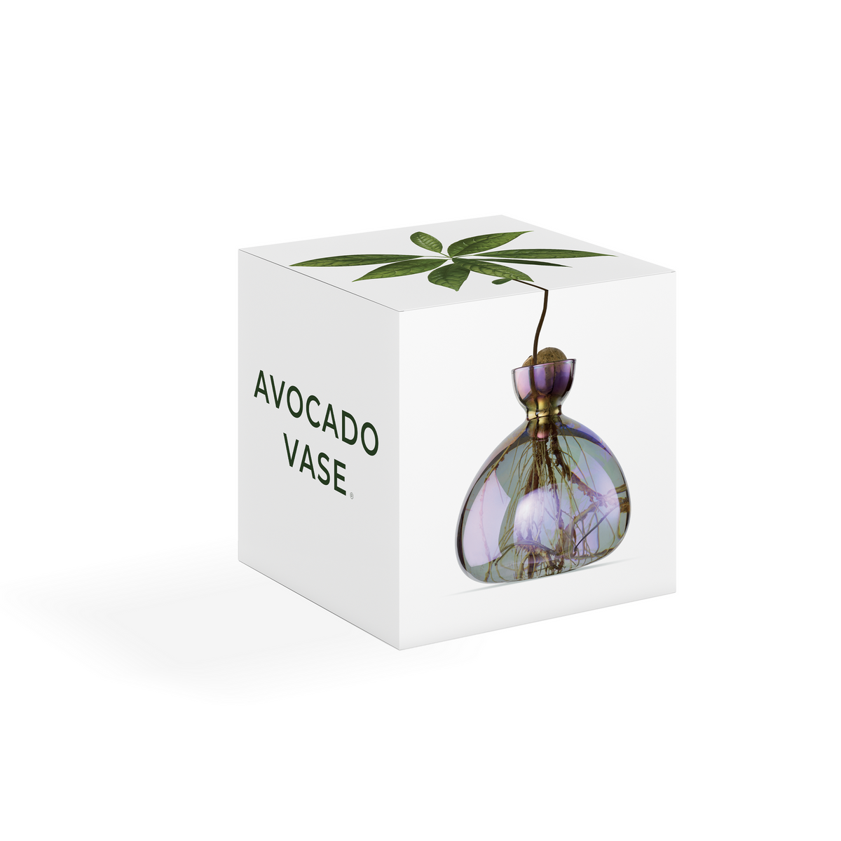 Avocado Vase // Smoke Grey