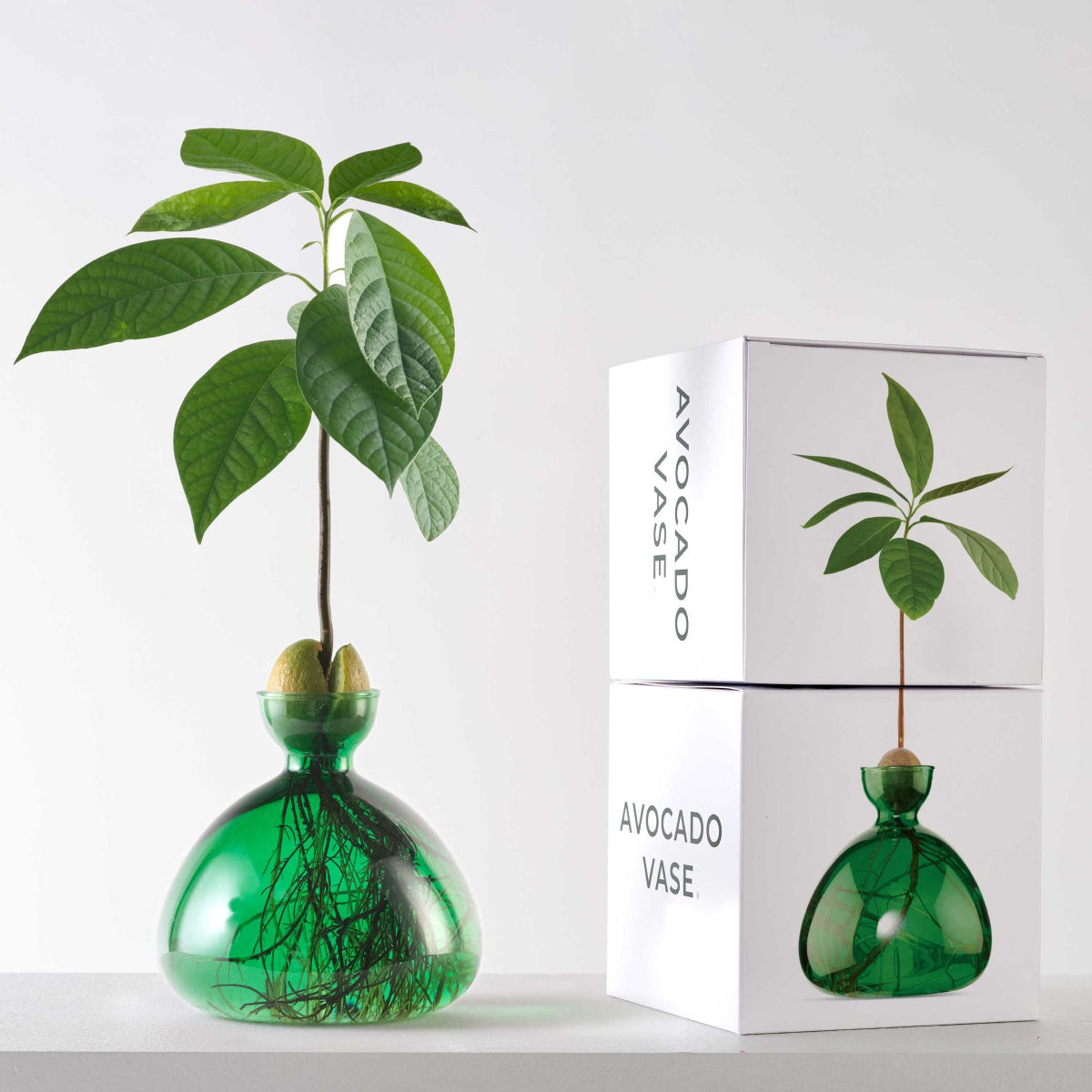 Avocado Vase // Emerald Green