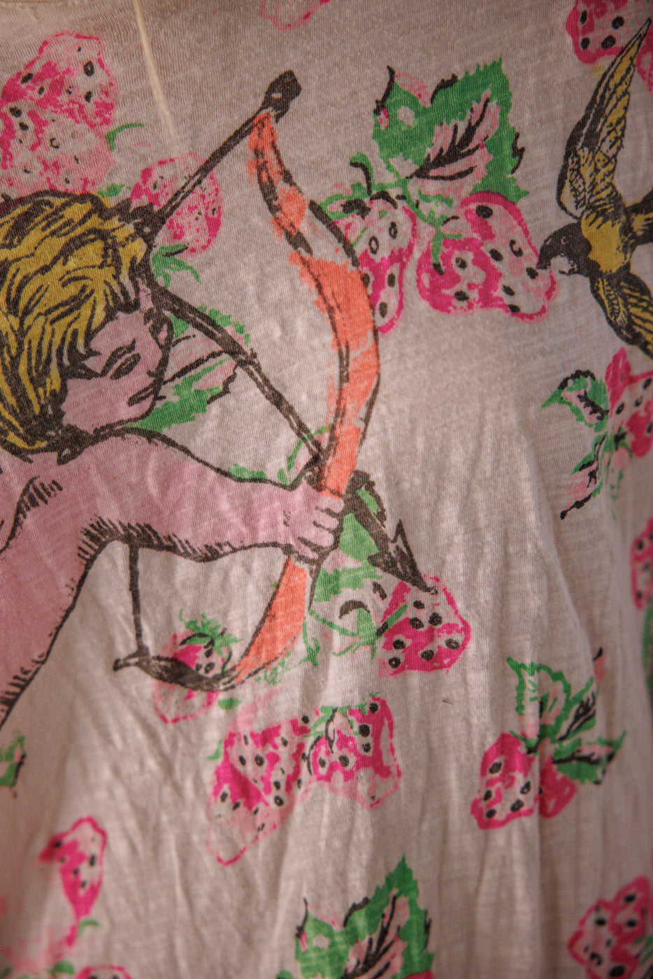 Top 2552 Wild Strawberries Berry Little Archer T OS