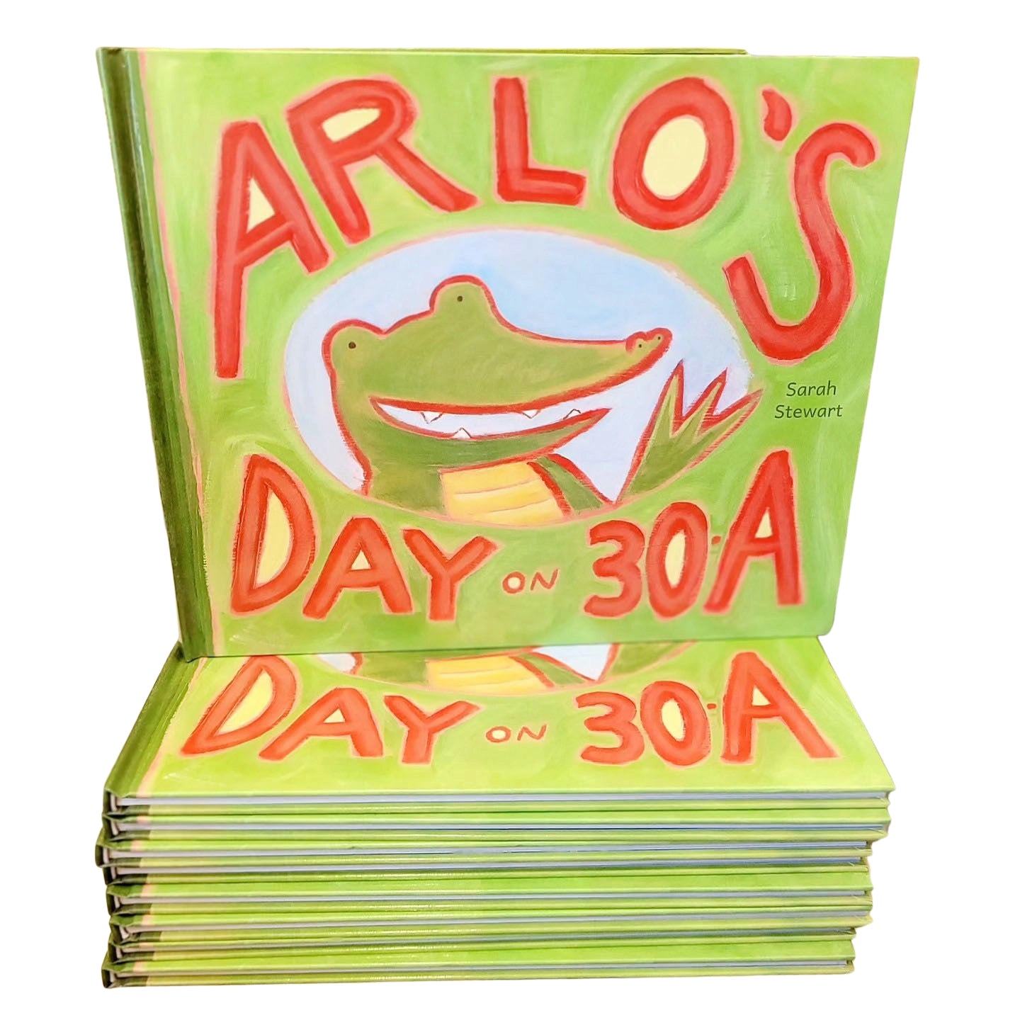 Arlo's Day on 30A by Sarah Stewart