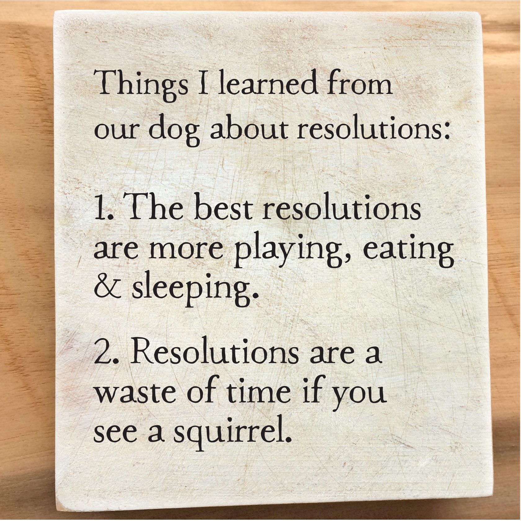 Dog Resolutions Storyblock