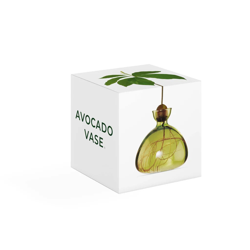 Avocado Vase // Grass Green