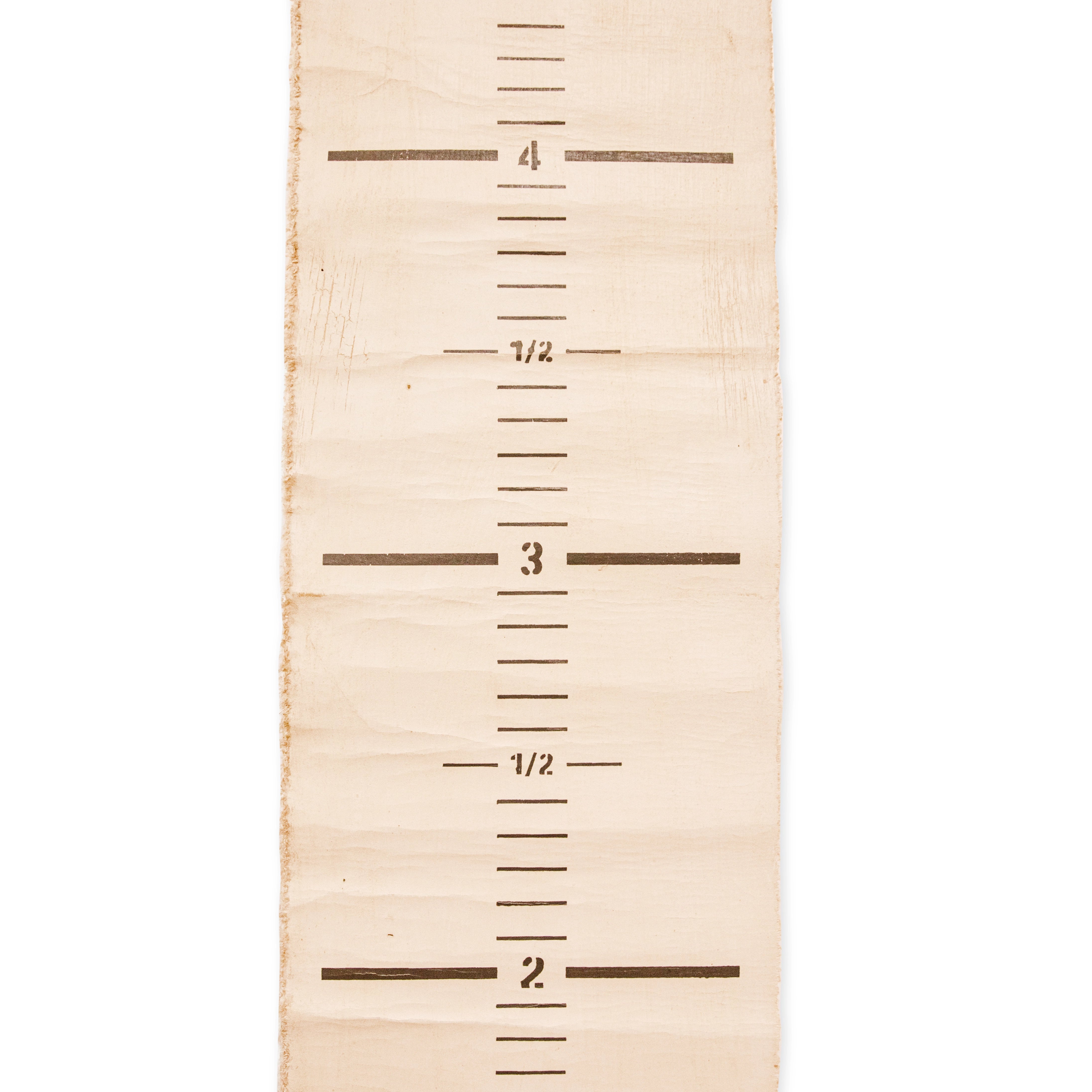 Hand Painted Growth Chart 12x72"