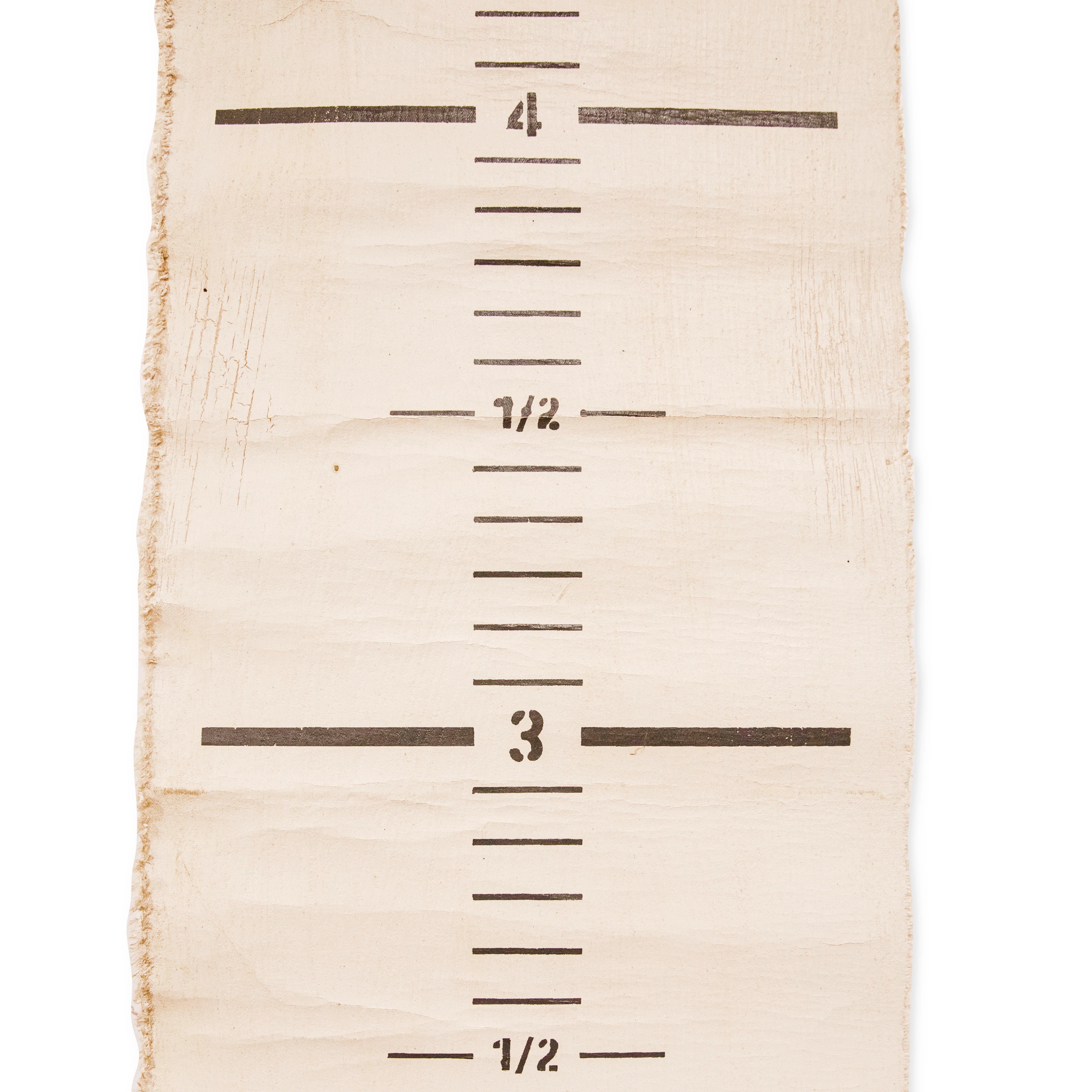 Hand Painted Growth Chart 12x72"