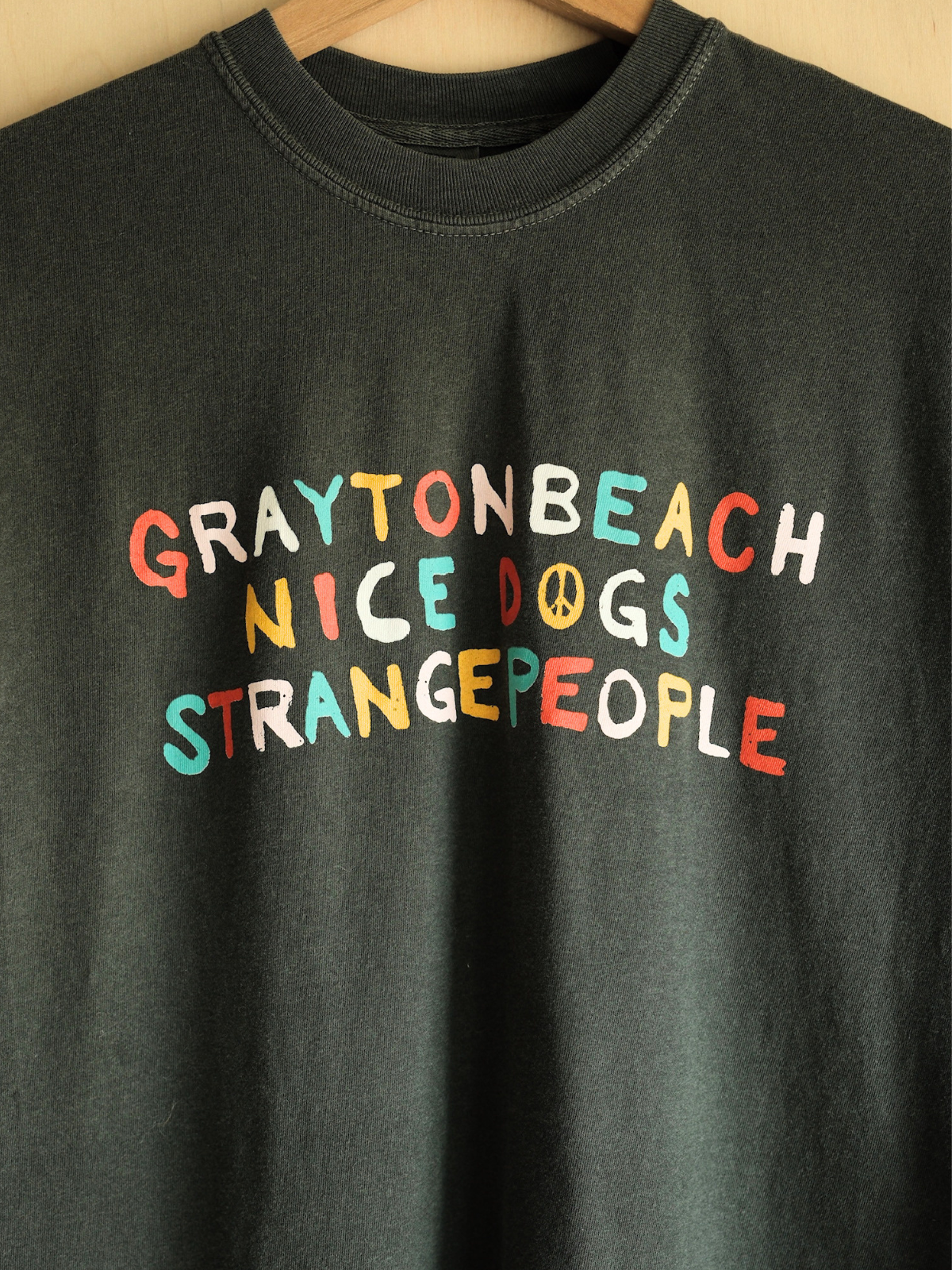 Grayton Beach: Nice Dogs, Strange People
