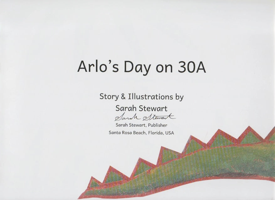 Arlo's Day on 30A by Sarah Stewart