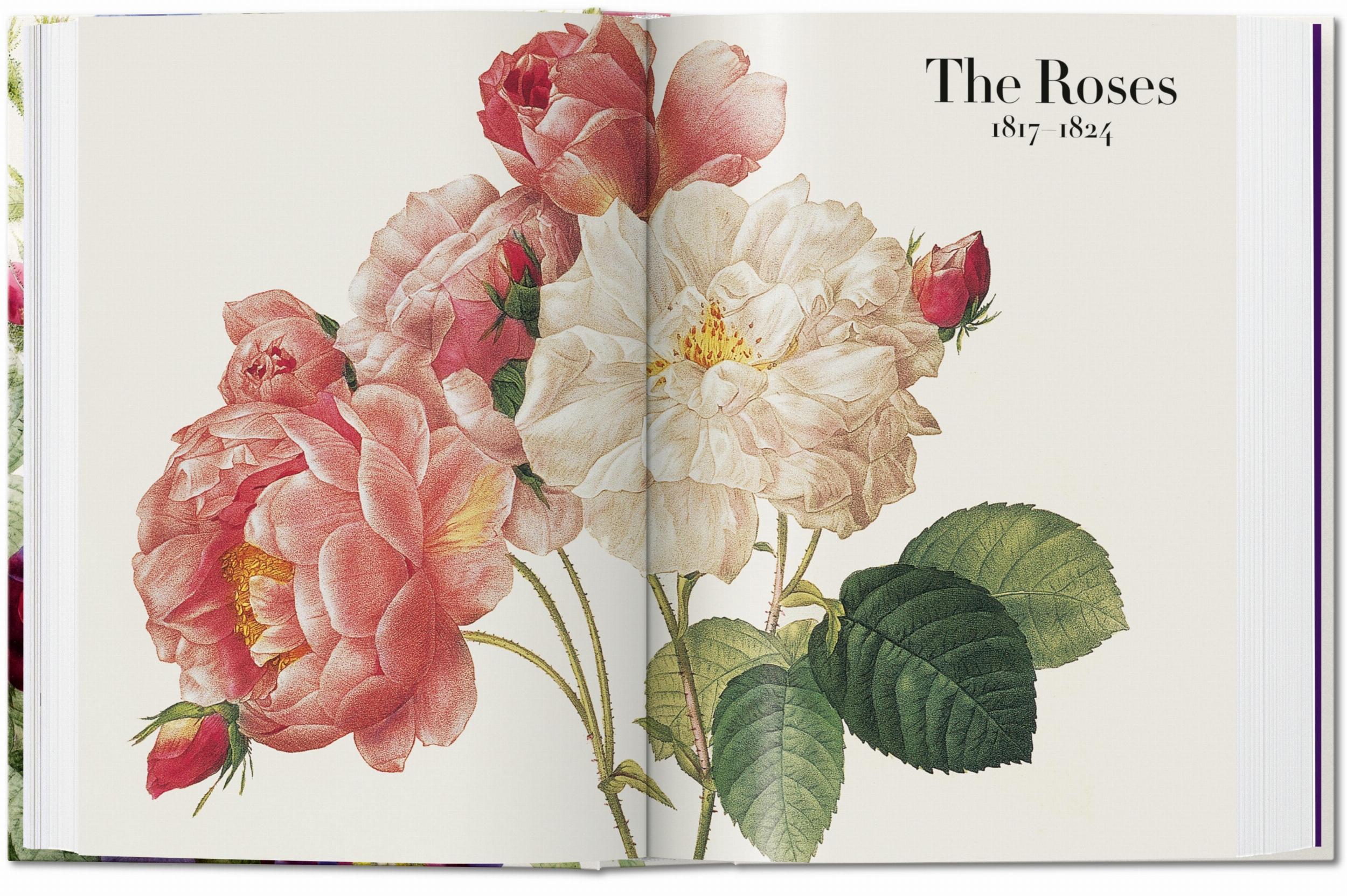 Redouté The Book of Flowers 40th Edition