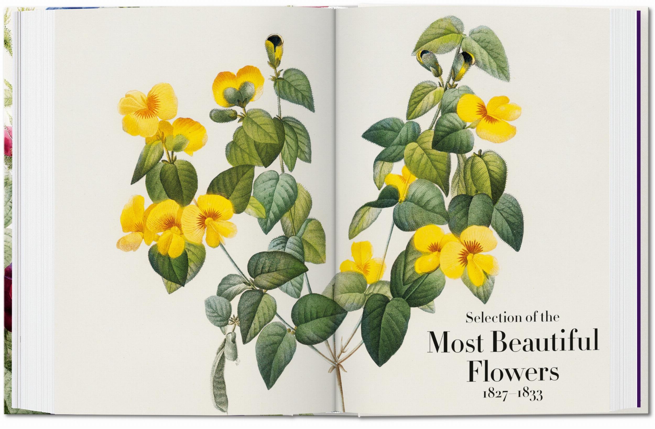 Redouté The Book of Flowers 40th Edition