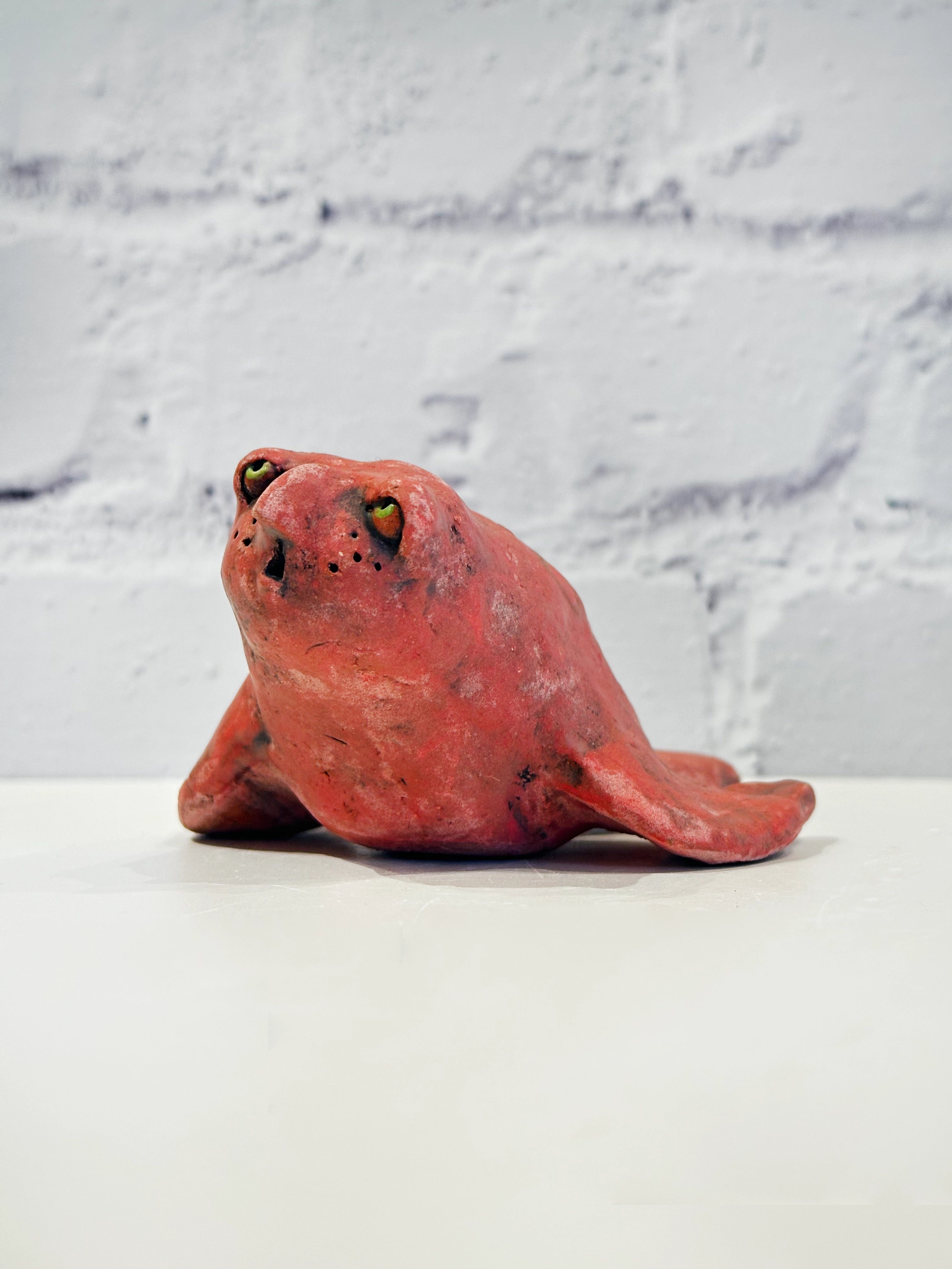 Tiny Seal