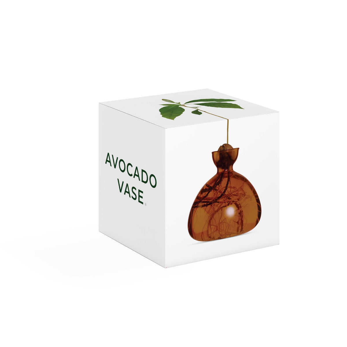 Avocado Vase // Russet Brown